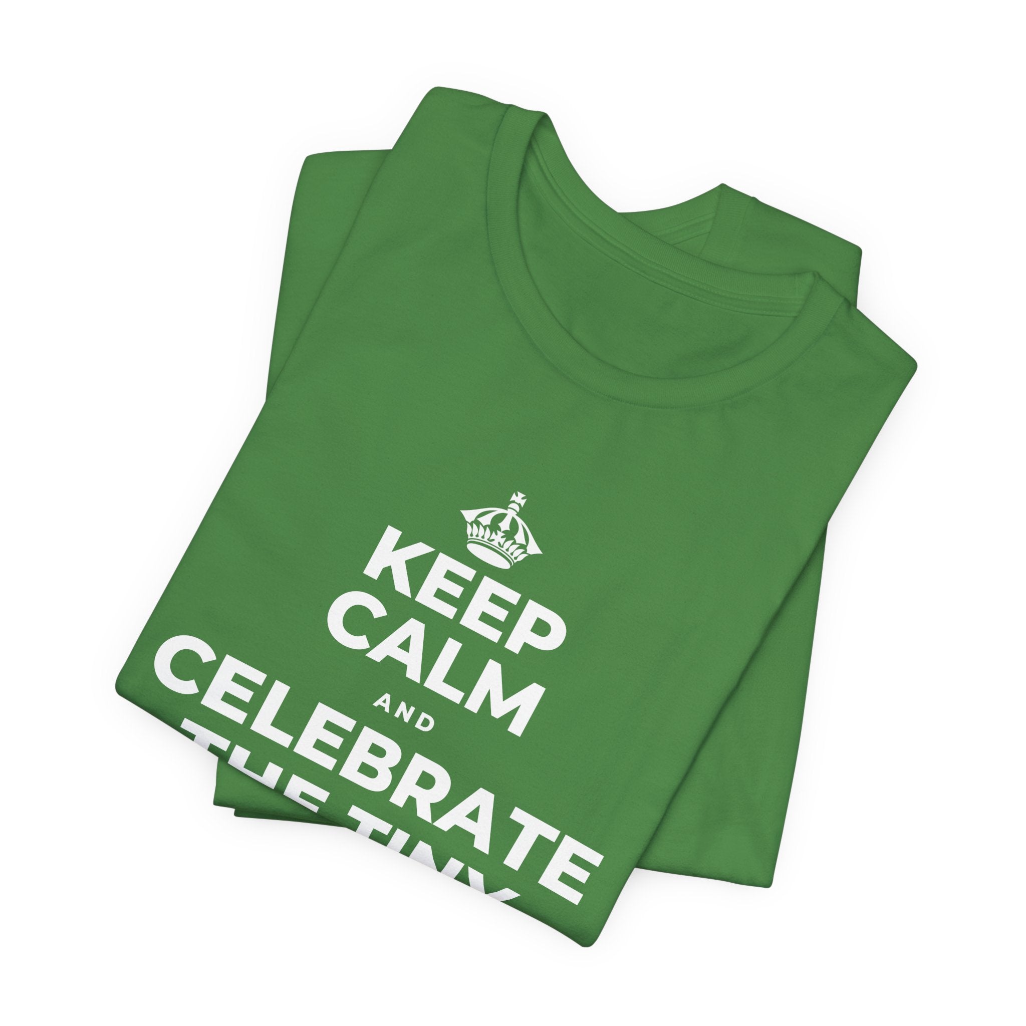 KEEP CALM AND CELEBRATE THE TINY VICTORIES EVERY SINGLE DAY T-Shirt (Baby Blue–Silver)
