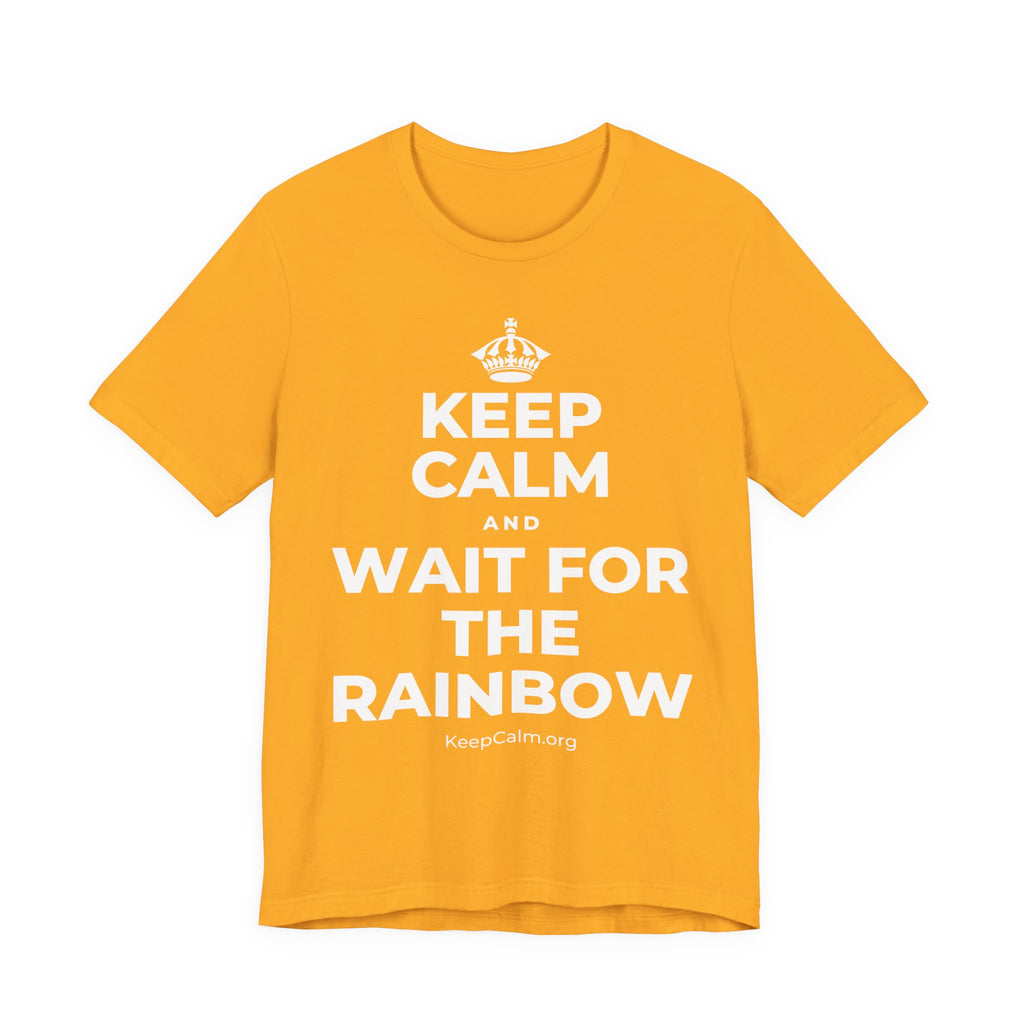 KEEP CALM AND WAIT FOR THE RAINBOW T-Shirt (Baby Blue–Silver)