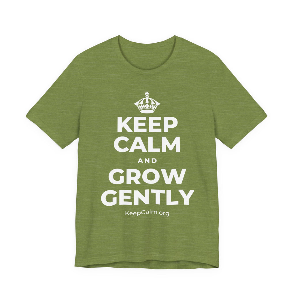 KEEP CALM AND GROW GENTLY T-Shirt (Baby Blue–Silver)