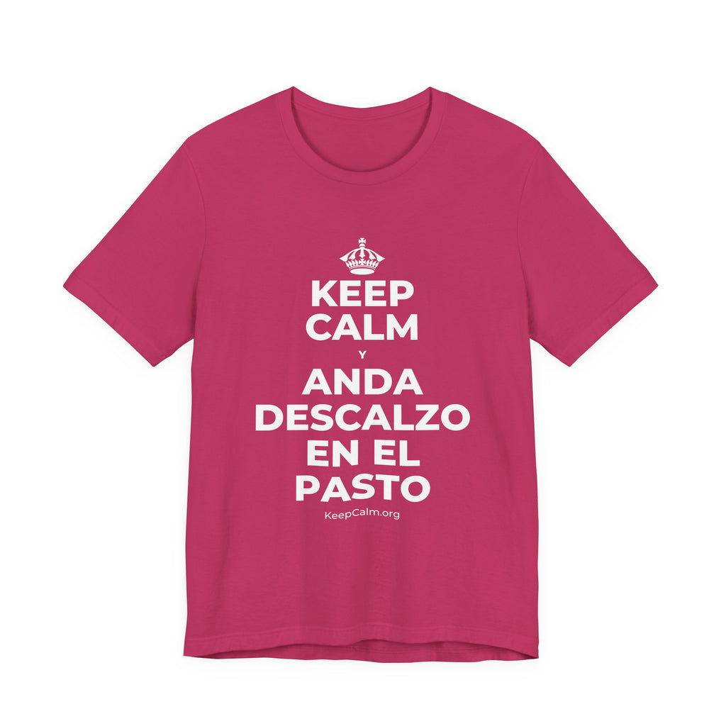 KEEP CALM Y ANDA DESCALZO EN EL PASTO T-Shirt (Baby Blue–Silver)