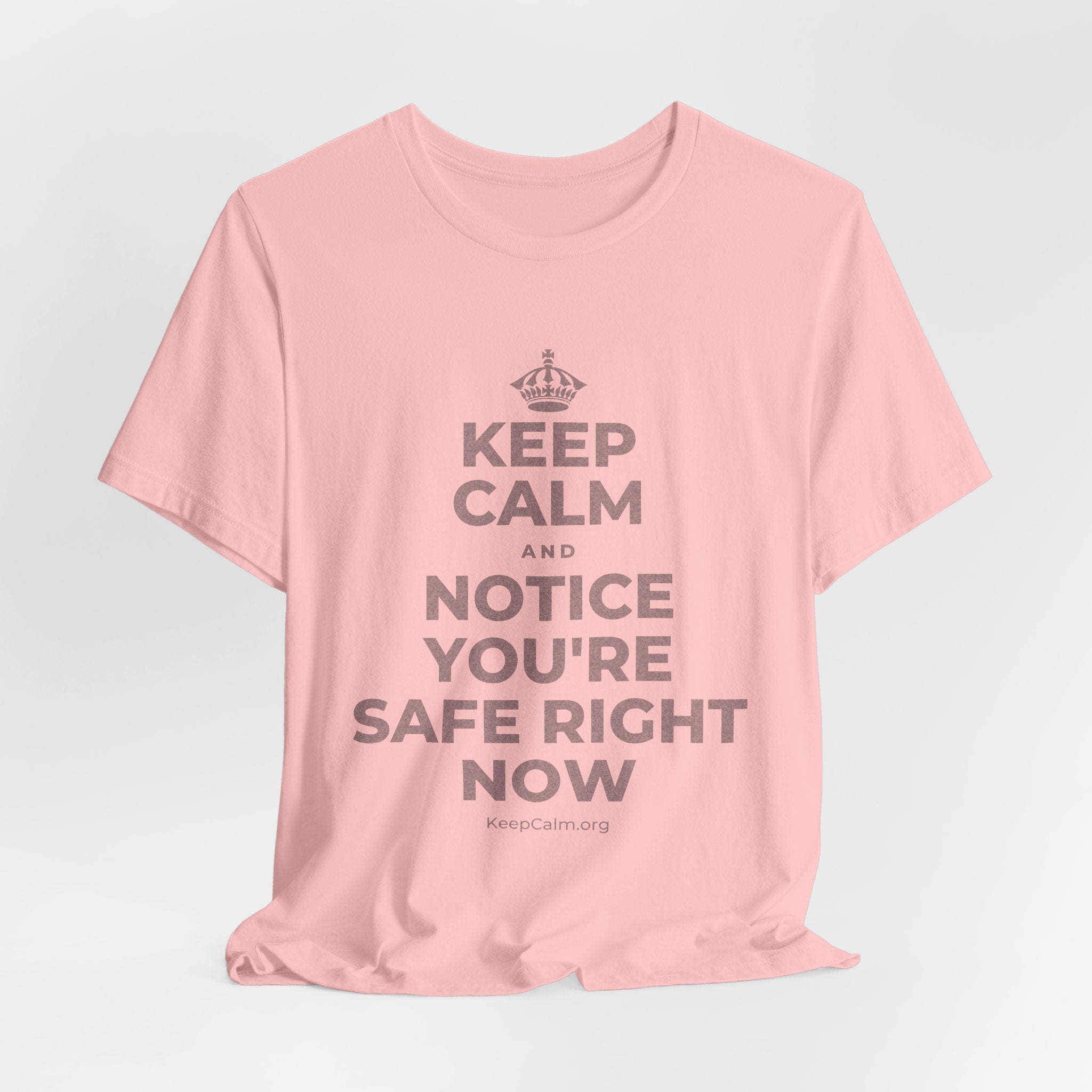 KEEP CALM AND NOTICE YOU'RE SAFE RIGHT NOW T-Shirt (White–Asphalt)