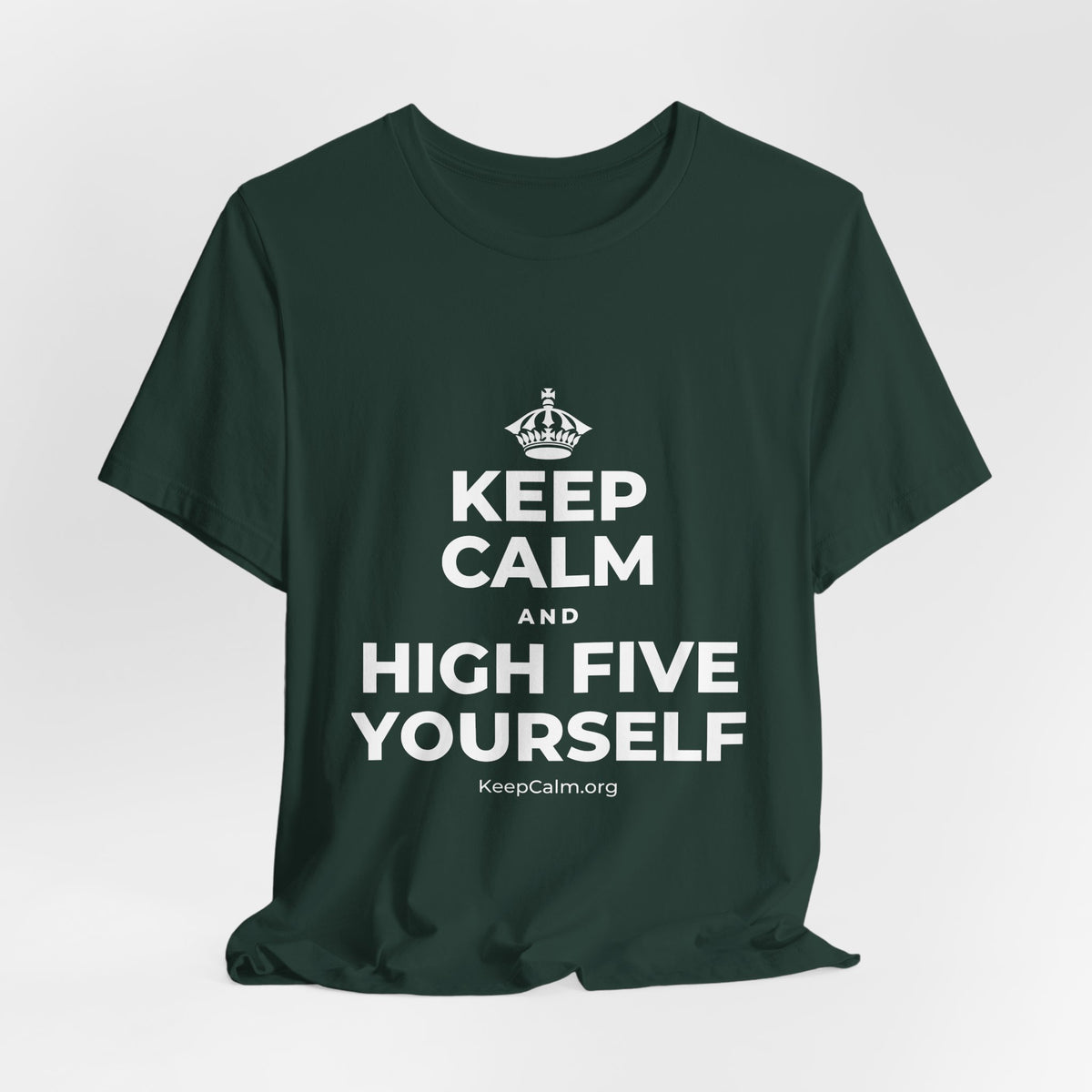 KEEP CALM AND HIGH FIVE YOURSELF T-Shirt (White–Asphalt)