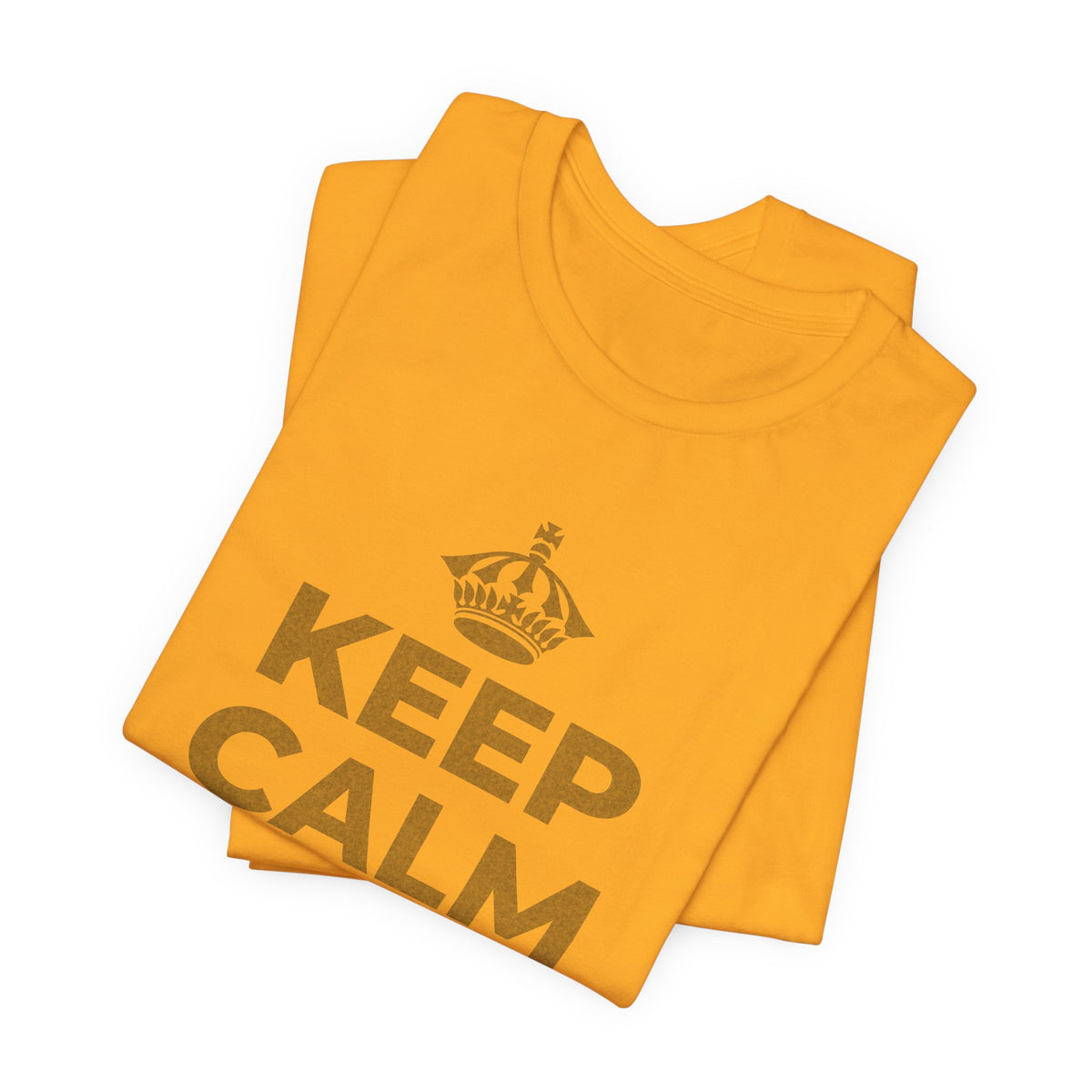 KEEP CALM AND OWN IT T-Shirt (Baby Blue–Silver)