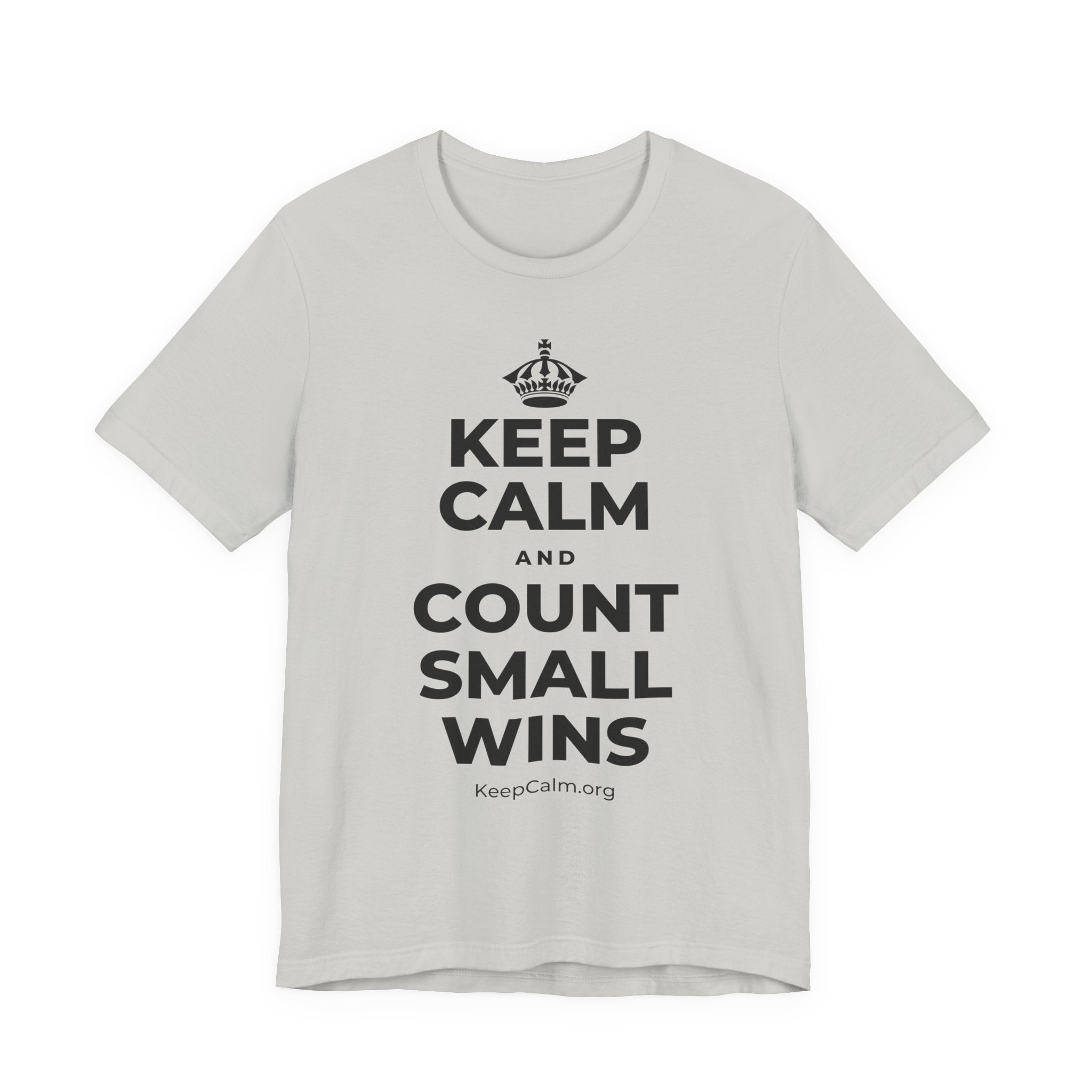 KEEP CALM AND COUNT SMALL WINS T-Shirt (Baby Blue–Silver)