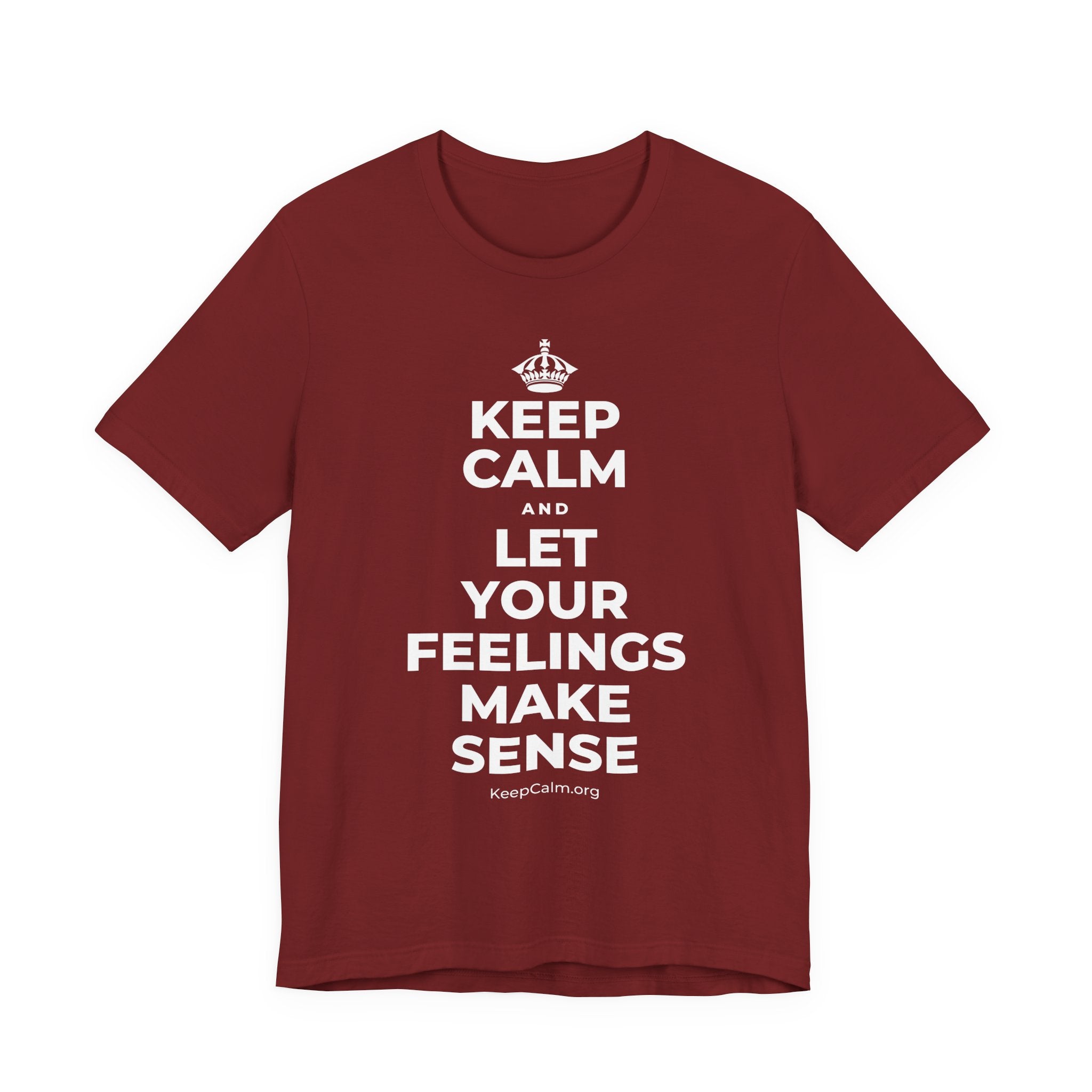KEEP CALM AND LET YOUR FEELINGS MAKE SENSE T-Shirt (Baby Blue–Silver)