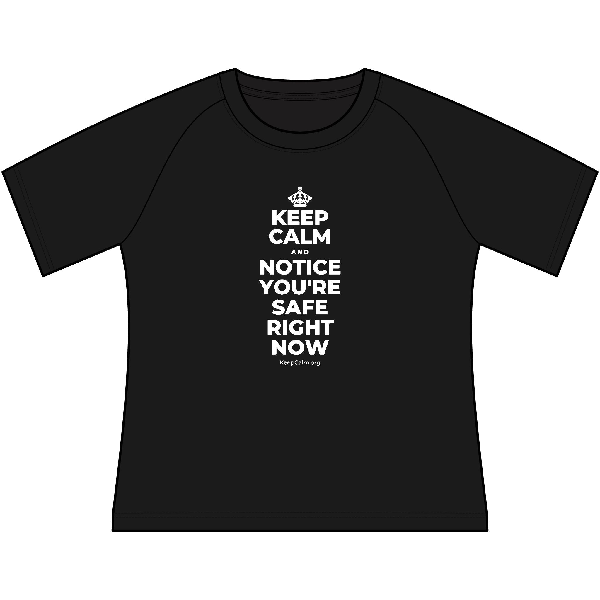 KEEP CALM AND NOTICE YOU'RE SAFE RIGHT NOW Women's Raglan Tee