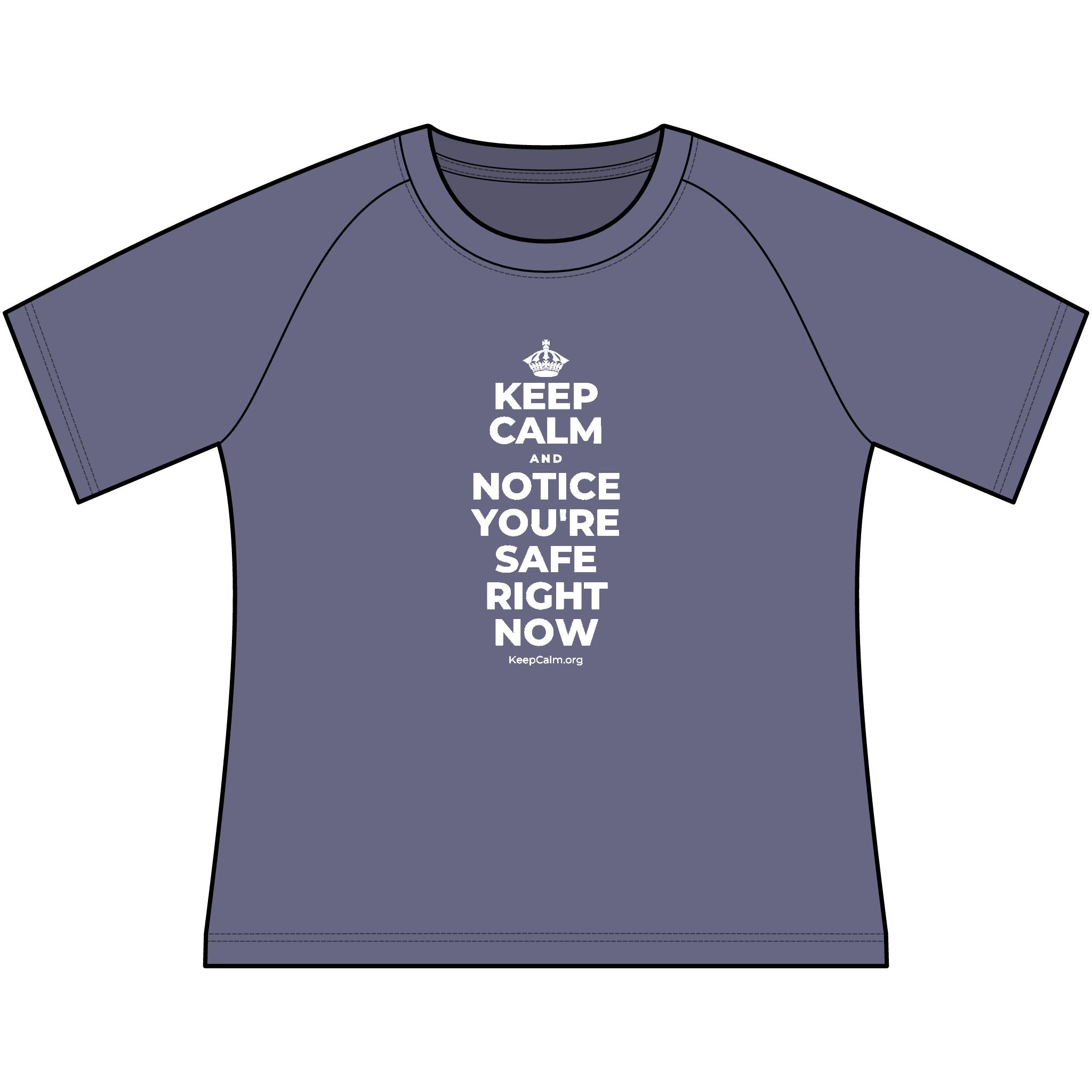 KEEP CALM AND NOTICE YOU'RE SAFE RIGHT NOW Women's Raglan Tee