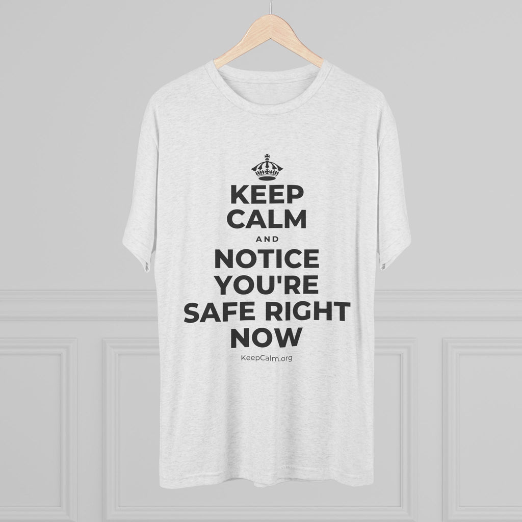 KEEP CALM AND NOTICE YOU'RE SAFE RIGHT NOW Tri-Blend Tee