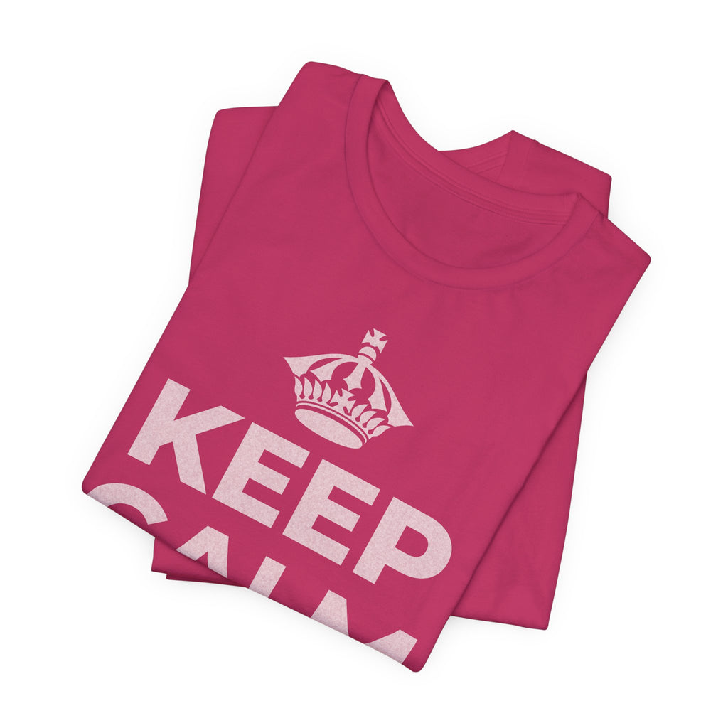 KEEP CALM AND 見知らぬ人に微笑んで T-Shirt (Baby Blue–Silver)