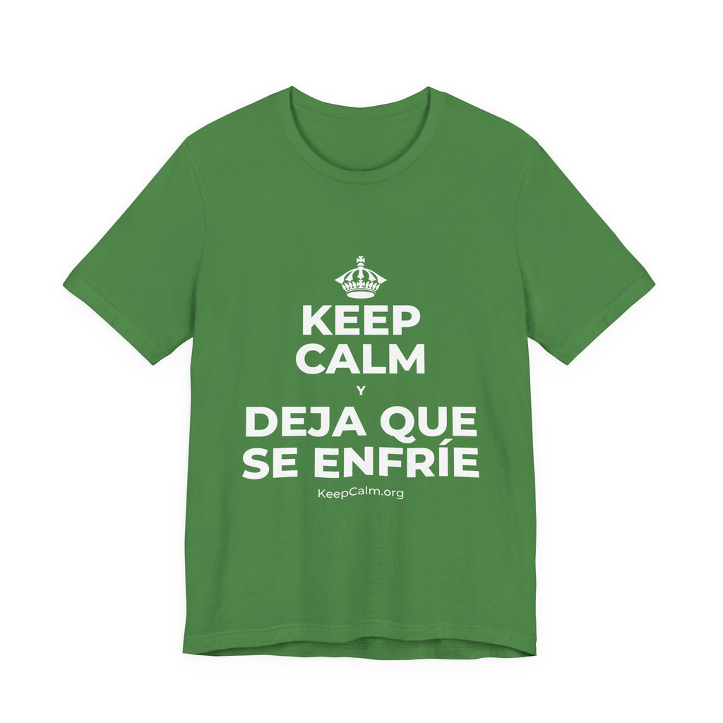 KEEP CALM Y DEJA QUE SE ENFRÍE T-Shirt (Baby Blue–Silver)