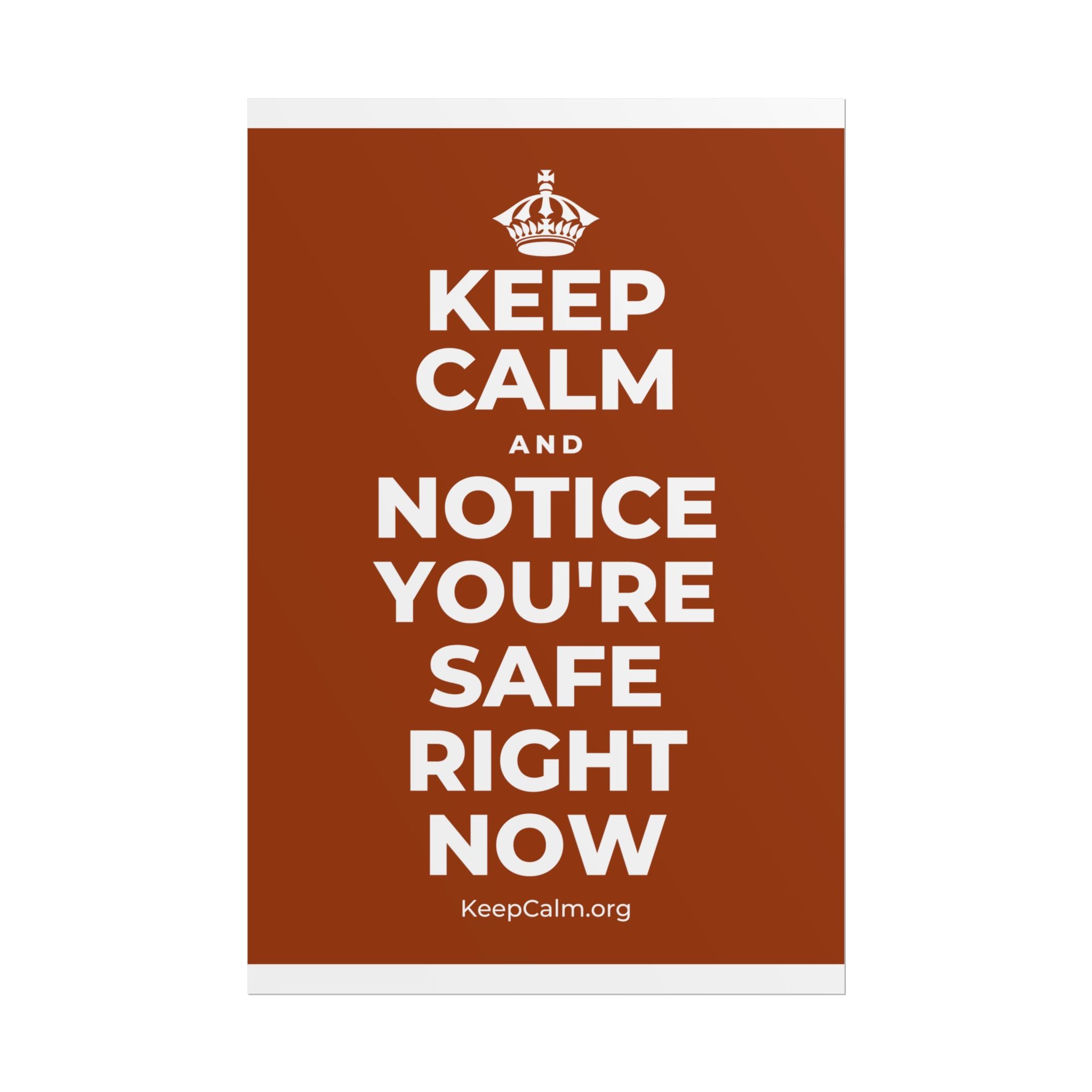 KEEP CALM AND NOTICE YOU'RE SAFE RIGHT NOW Poster