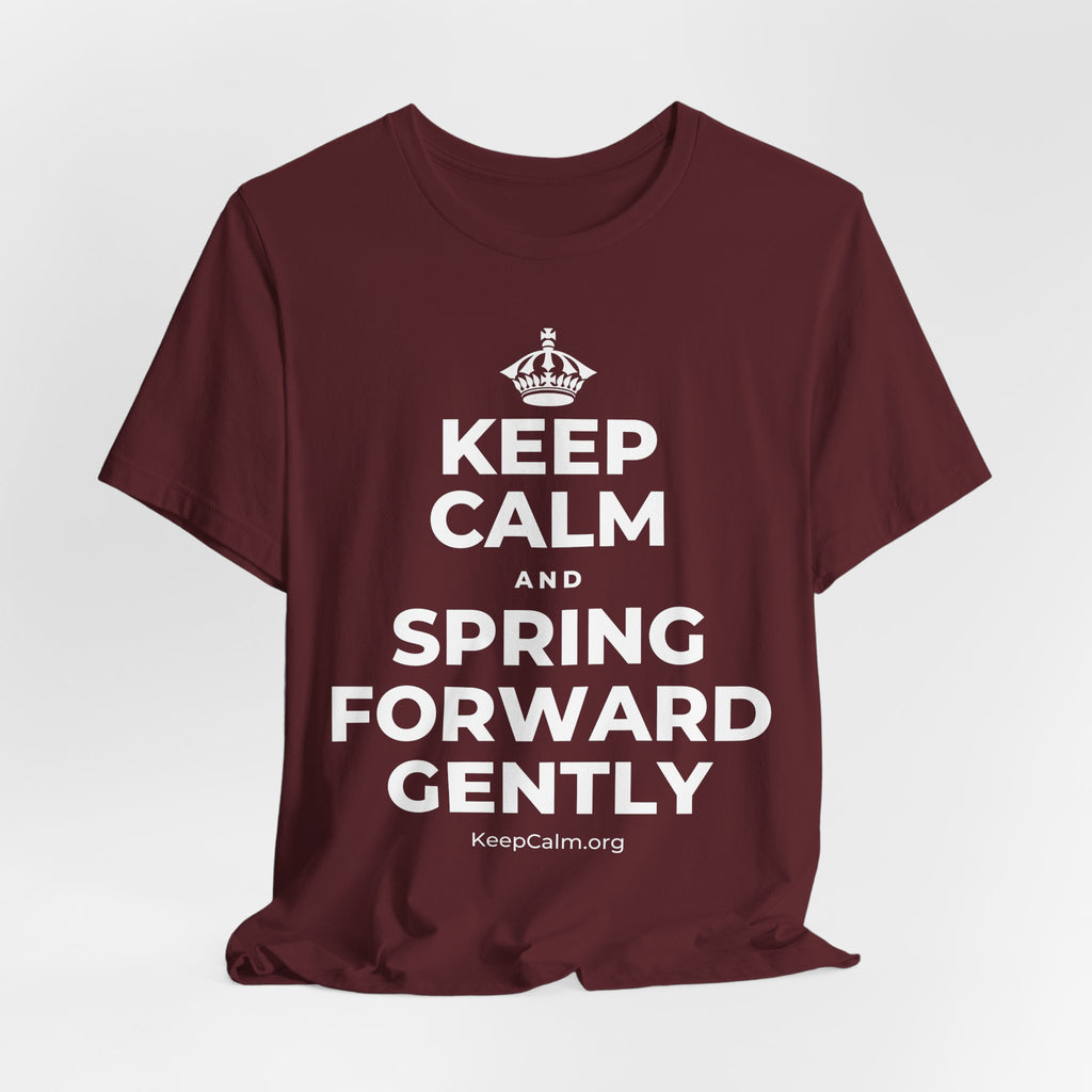 KEEP CALM AND SPRING FORWARD GENTLY T-Shirt (Baby Blue–Silver)