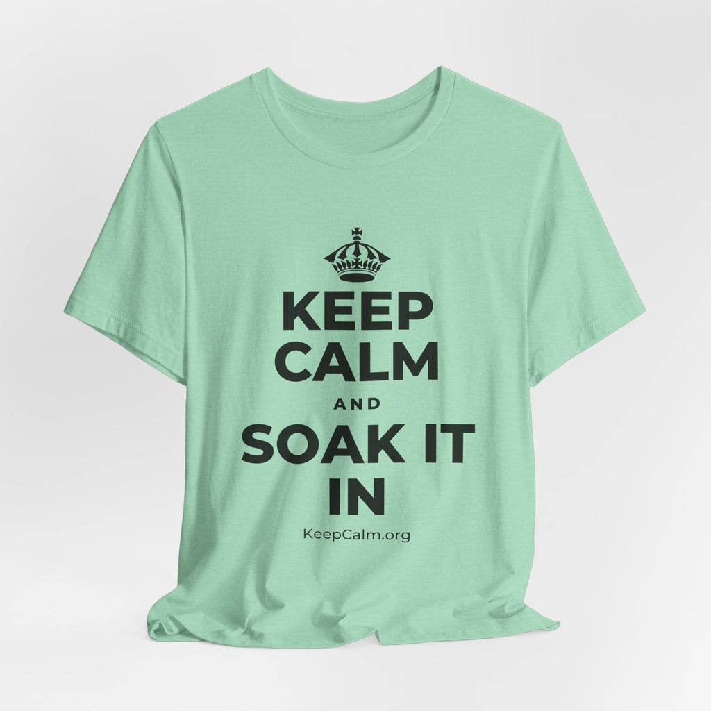 KEEP CALM AND SOAK IT IN T-Shirt (Baby Blue–Silver)
