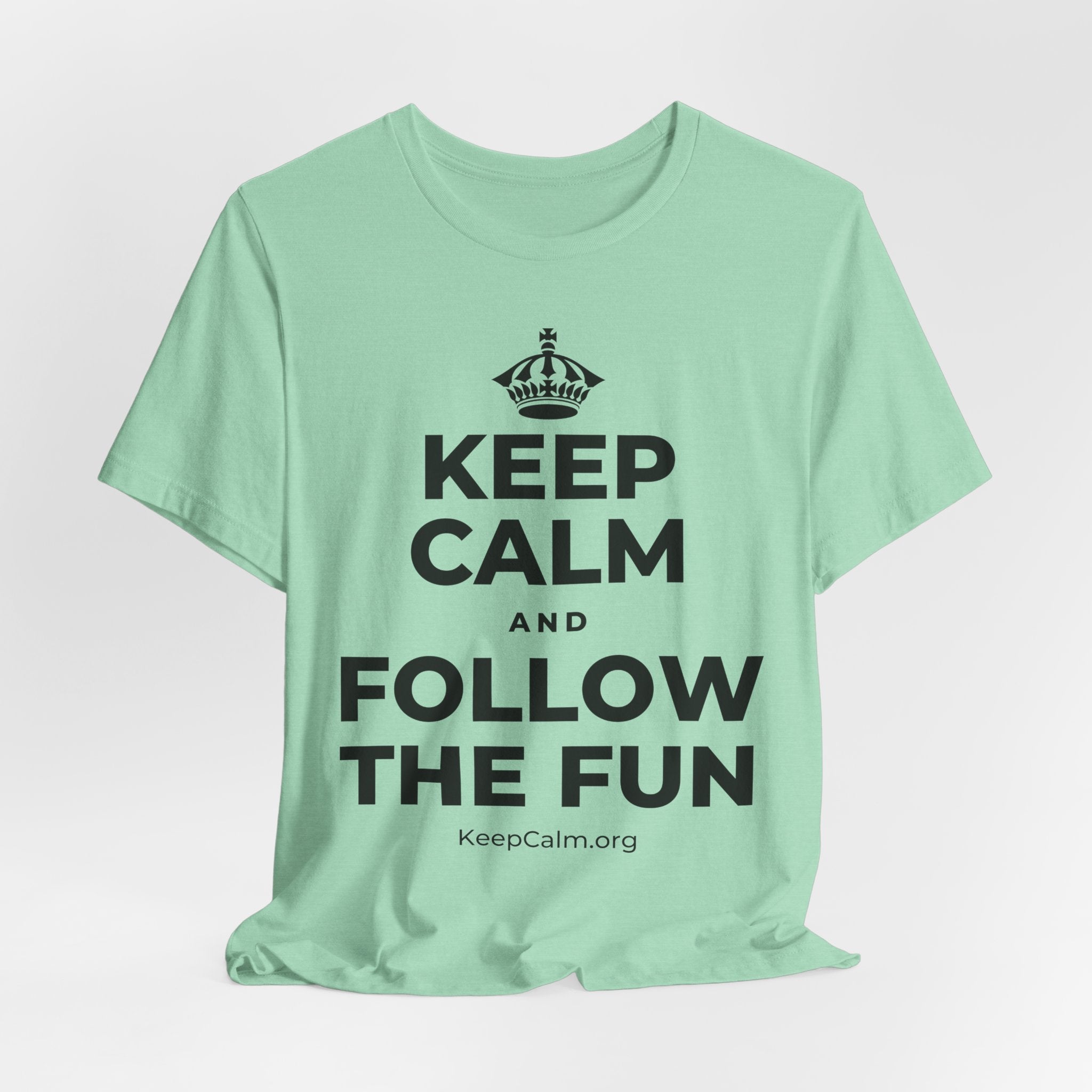 KEEP CALM AND FOLLOW THE FUN T-Shirt (Baby Blue–Silver)