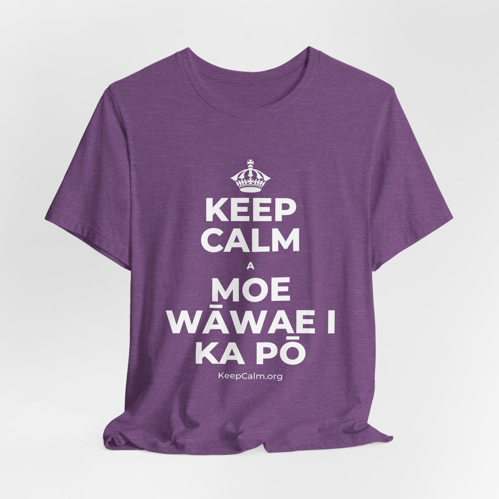 KEEP CALM A MOE WĀWAE I KA PŌ T-Shirt (Baby Blue–Silver)