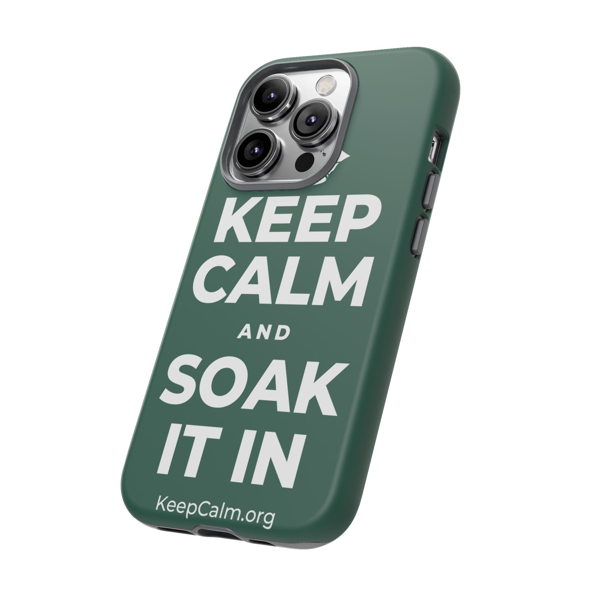 KEEP CALM AND SOAK IT IN Phone Case