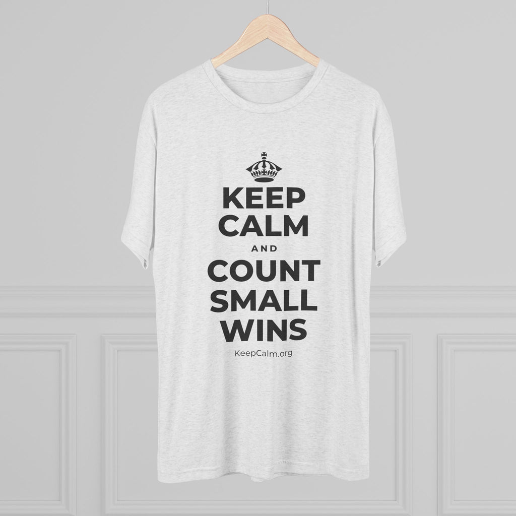 KEEP CALM AND COUNT SMALL WINS Tri-Blend Tee
