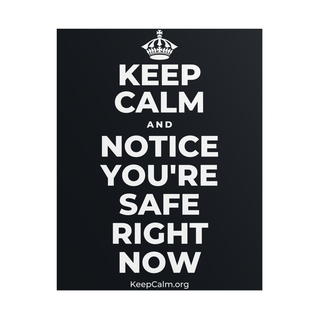 KEEP CALM AND NOTICE YOU'RE SAFE RIGHT NOW Poster (Dark)