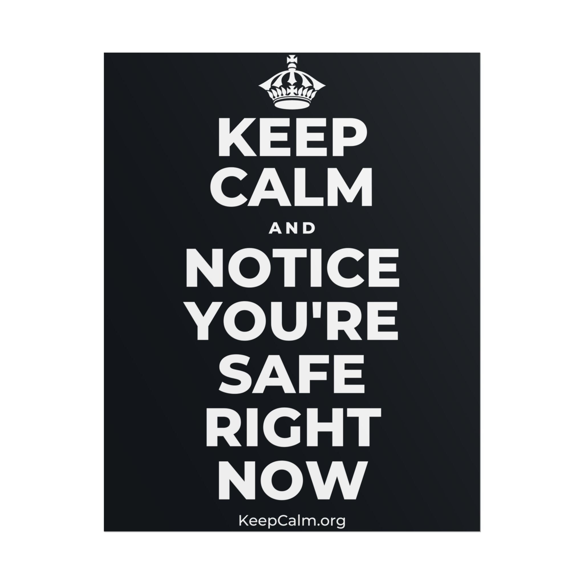 KEEP CALM AND NOTICE YOU'RE SAFE RIGHT NOW Poster (Dark)