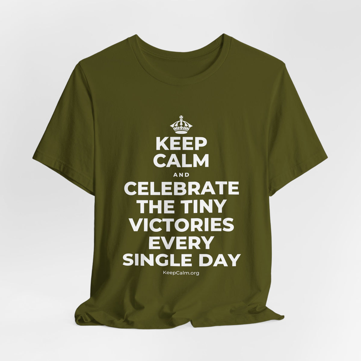 KEEP CALM AND CELEBRATE THE TINY VICTORIES EVERY SINGLE DAY T-Shirt (Baby Blue–Silver)