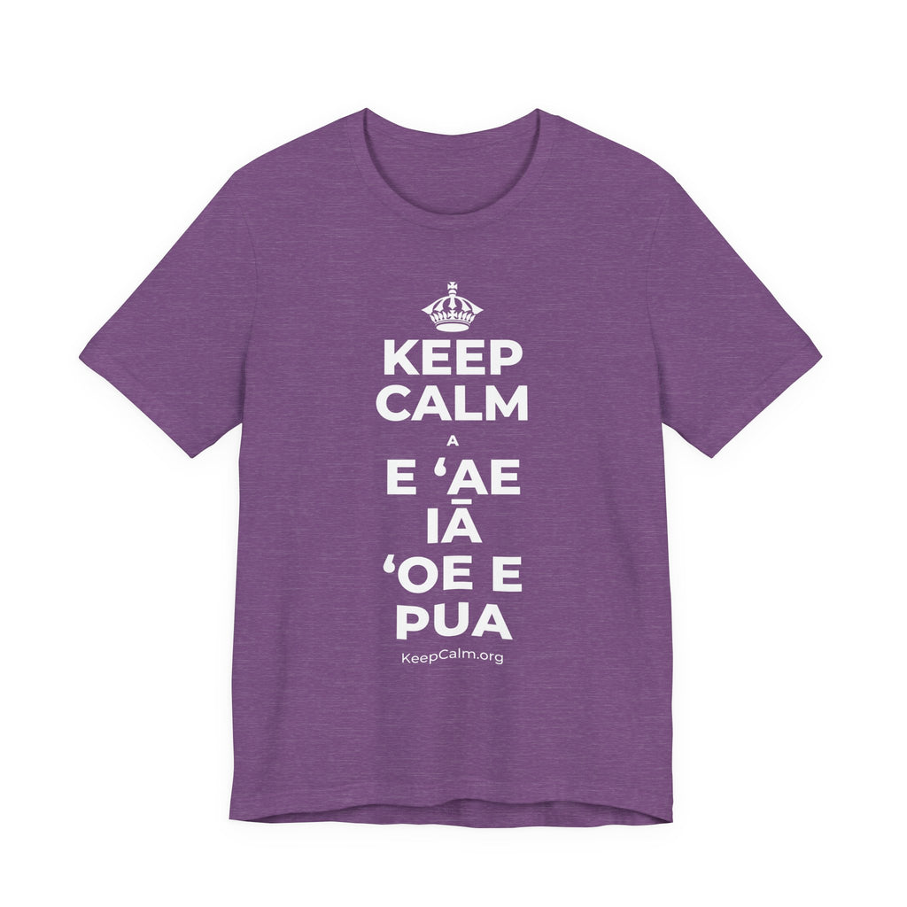 KEEP CALM A E ʻAE IĀ ʻOE E PUA T-Shirt (Baby Blue–Silver)