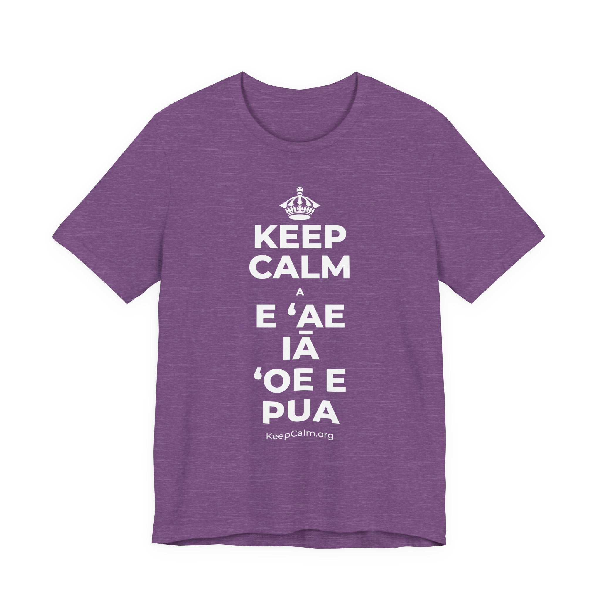 KEEP CALM A E ʻAE IĀ ʻOE E PUA T-Shirt (Baby Blue–Silver)