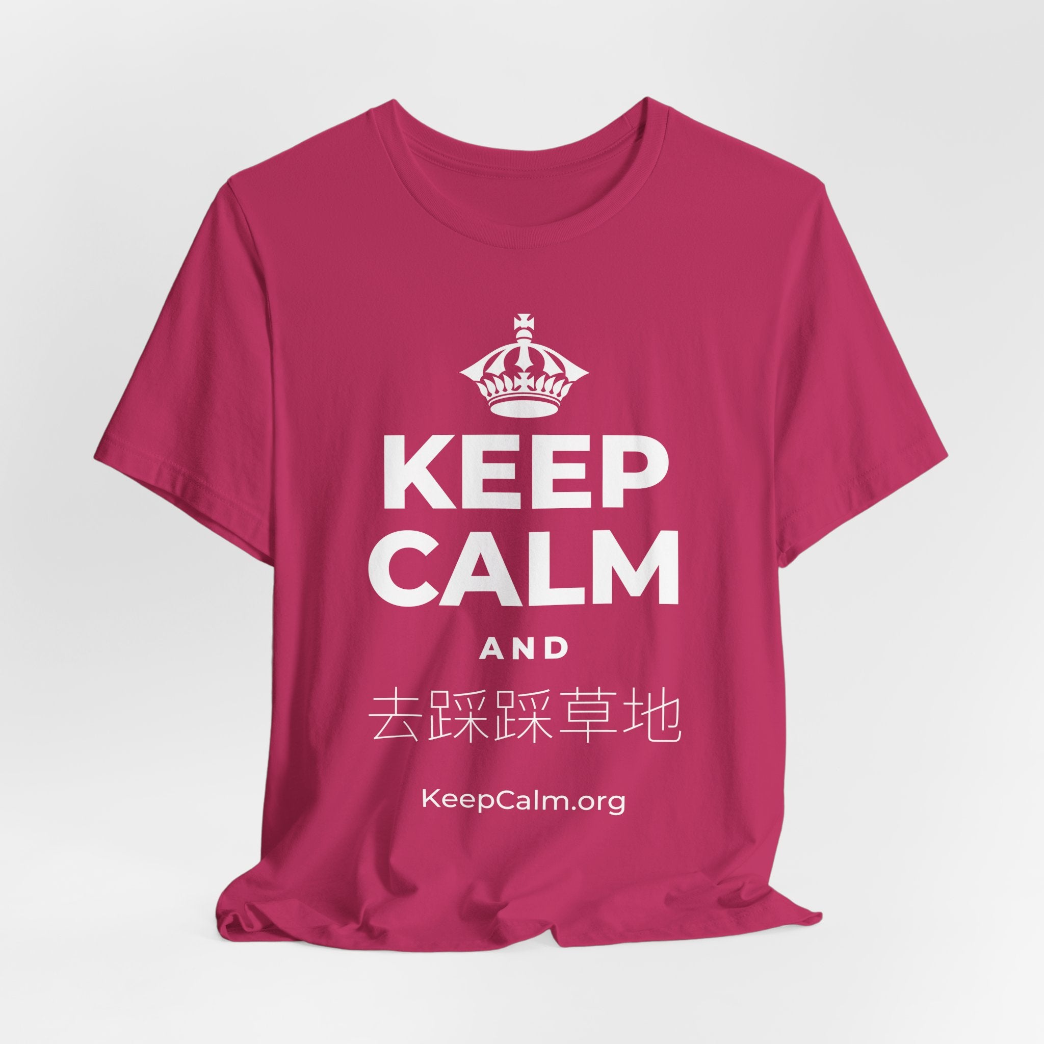 KEEP CALM AND 去踩踩草地 T-Shirt (Baby Blue–Silver)