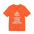 KEEP CALM AND COUNT YOUR SLOW BREATHS T-Shirt (Baby Blue–Silver)