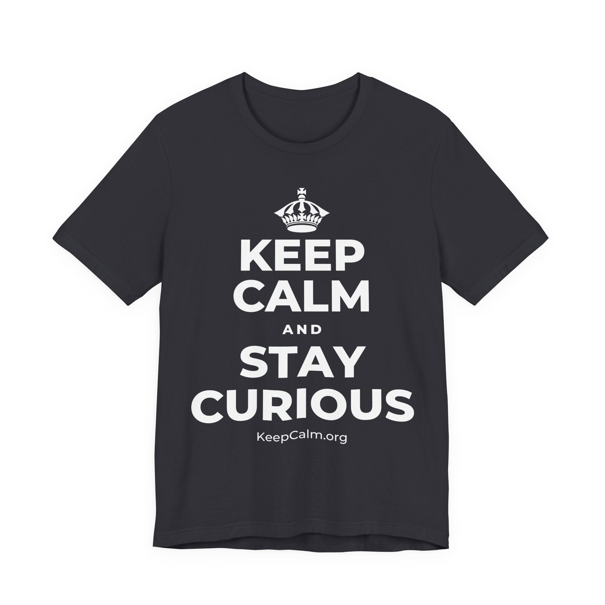 KEEP CALM AND STAY CURIOUS T-Shirt (Baby Blue–Silver)