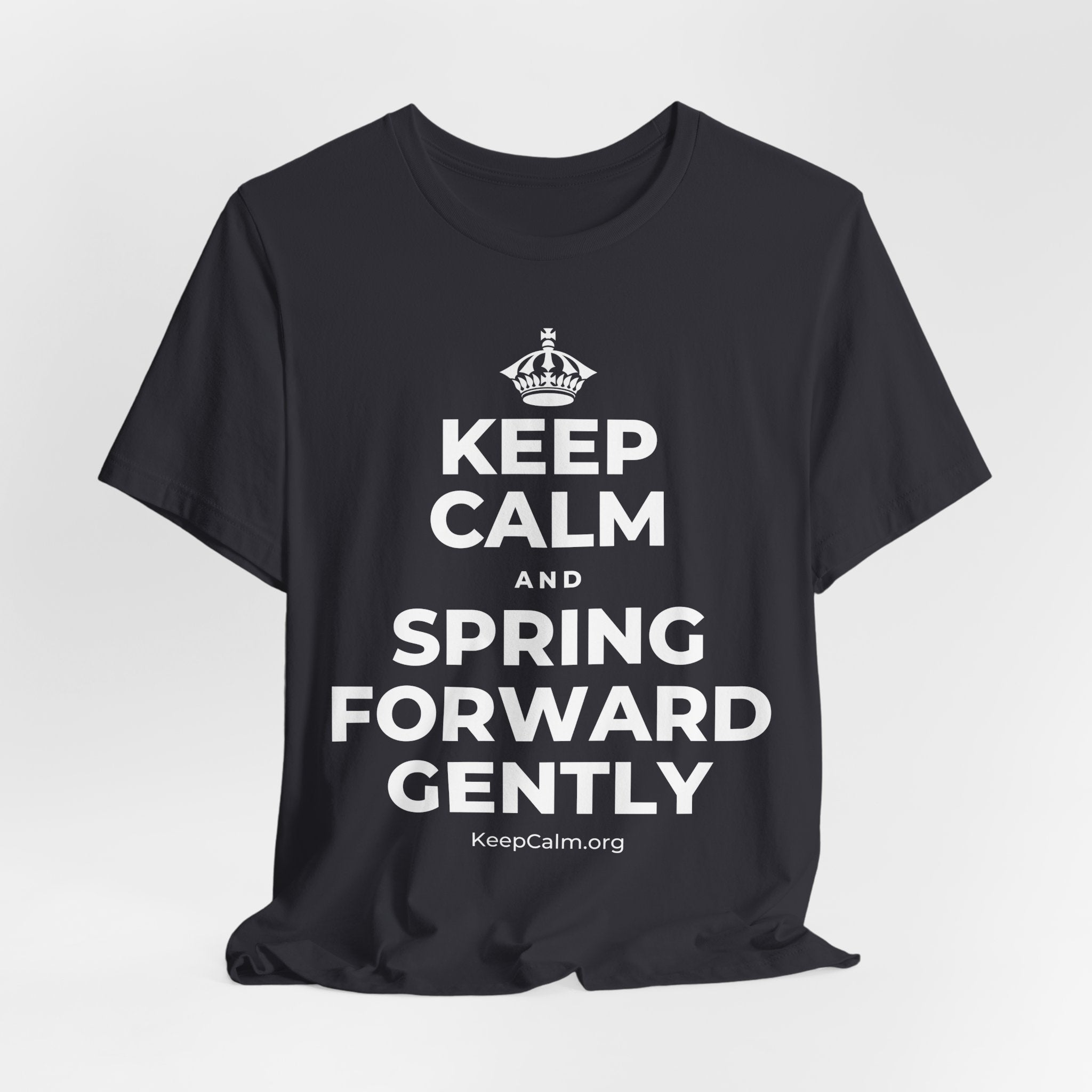 KEEP CALM AND SPRING FORWARD GENTLY T-Shirt (Baby Blue–Silver)