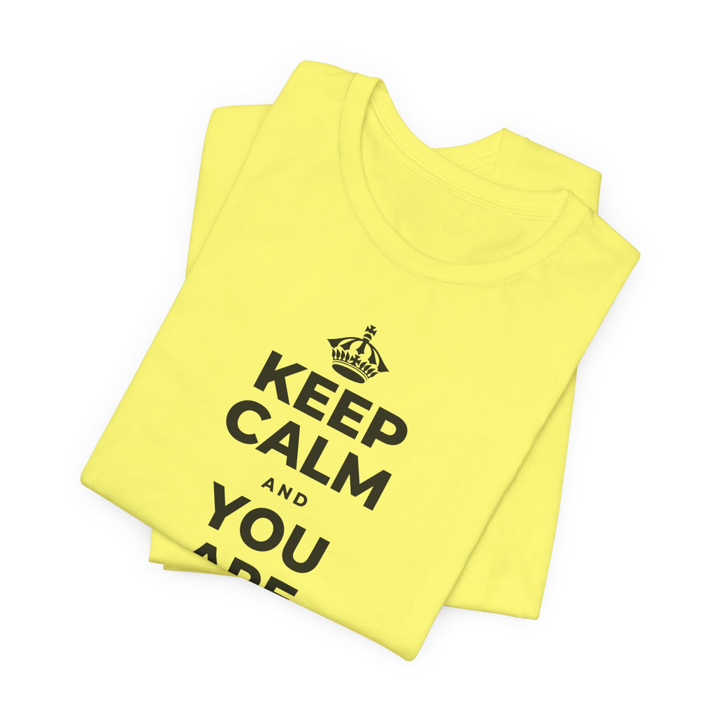 KEEP CALM AND YOU ARE DOING GREAT TODAY T-Shirt (Soft Cream–Heather Mauve)