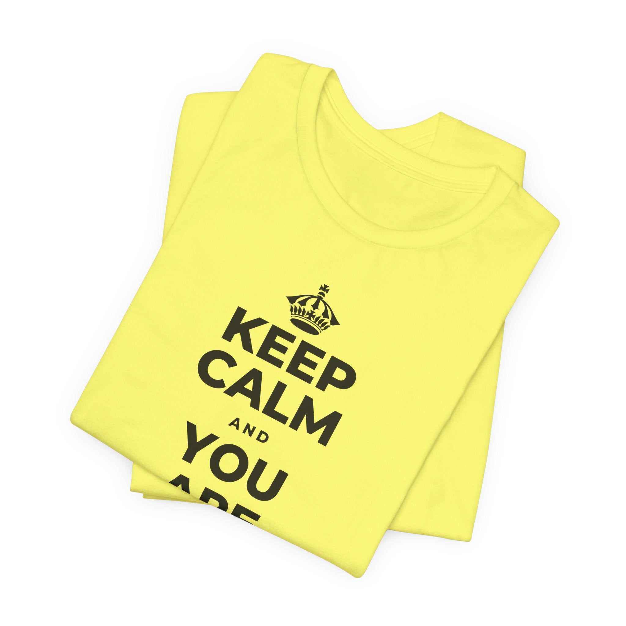 KEEP CALM AND YOU ARE DOING GREAT TODAY T-Shirt (Soft Cream–Heather Mauve)