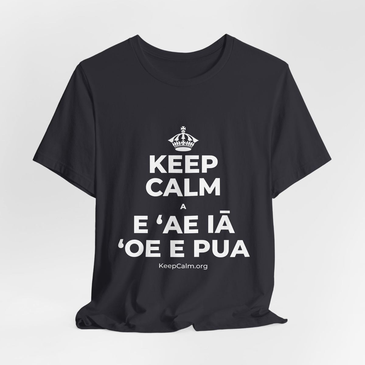 KEEP CALM A E ʻAE IĀ ʻOE E PUA T-Shirt (Baby Blue–Silver)