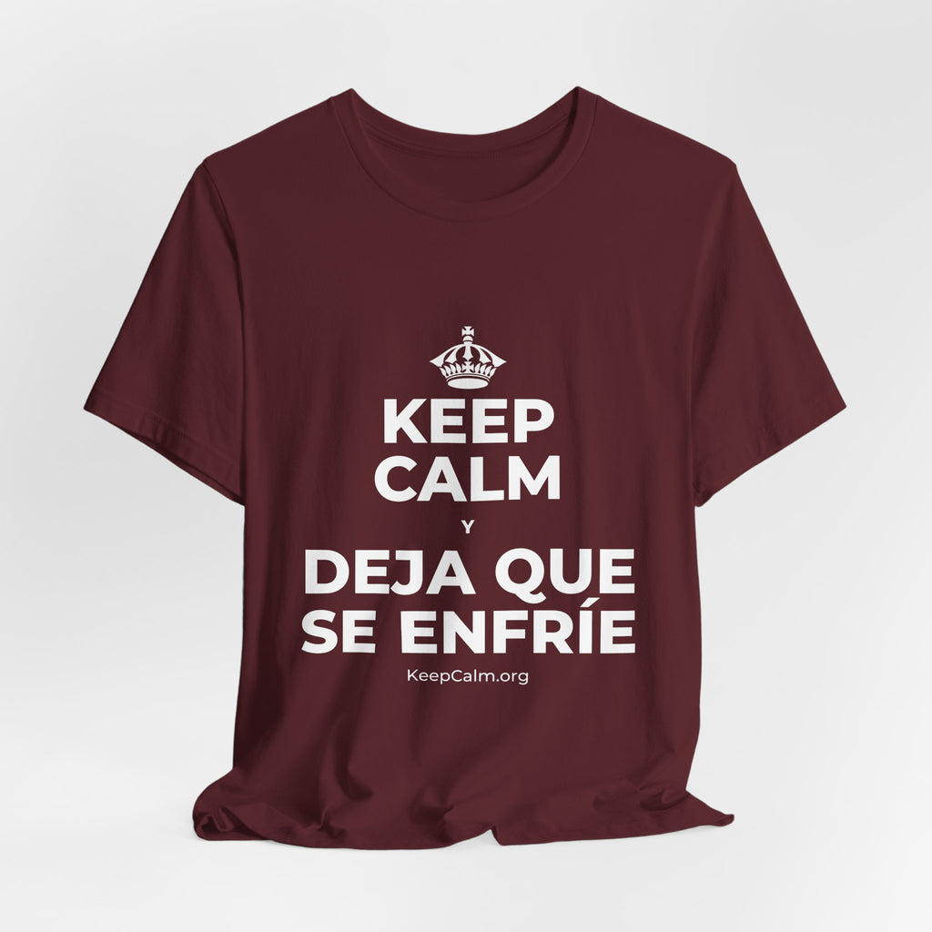 KEEP CALM Y DEJA QUE SE ENFRÍE T-Shirt (Baby Blue–Silver)