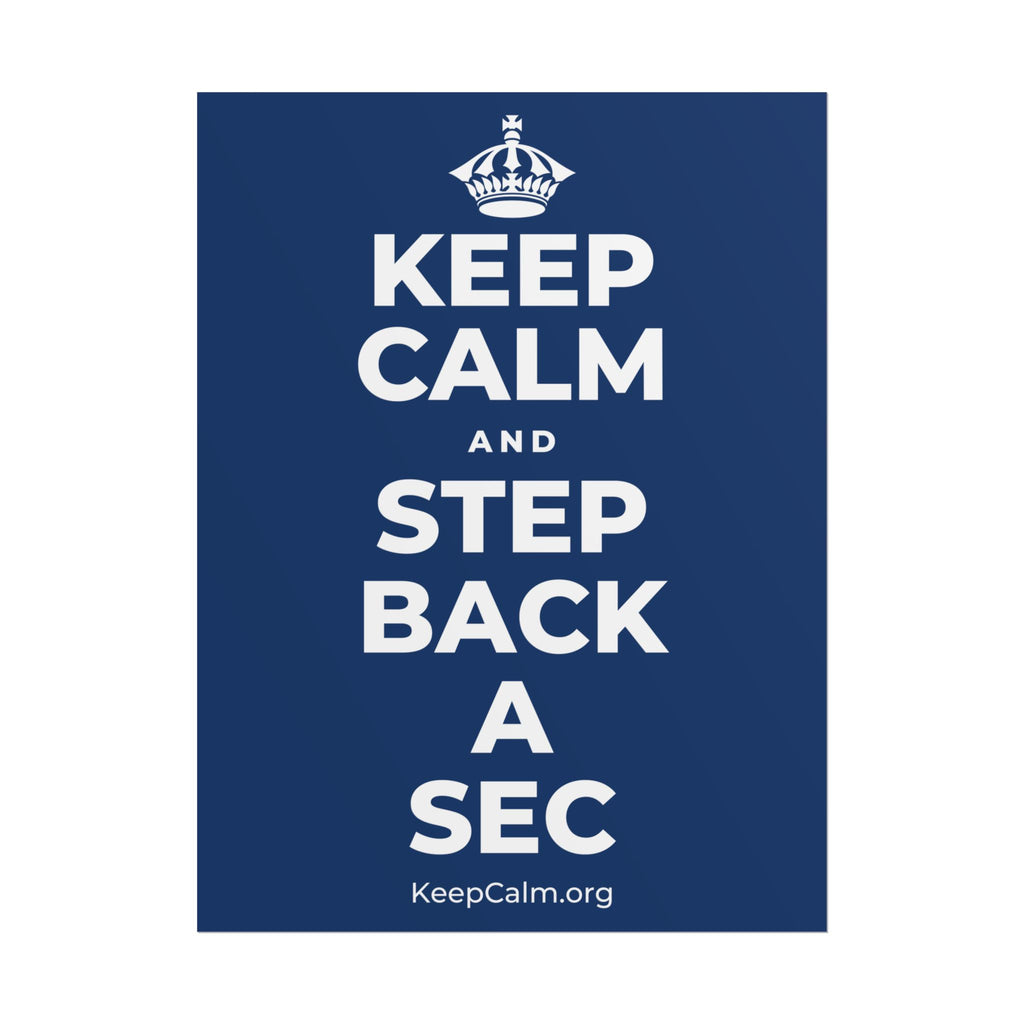 KEEP CALM AND STEP BACK A SEC Poster
