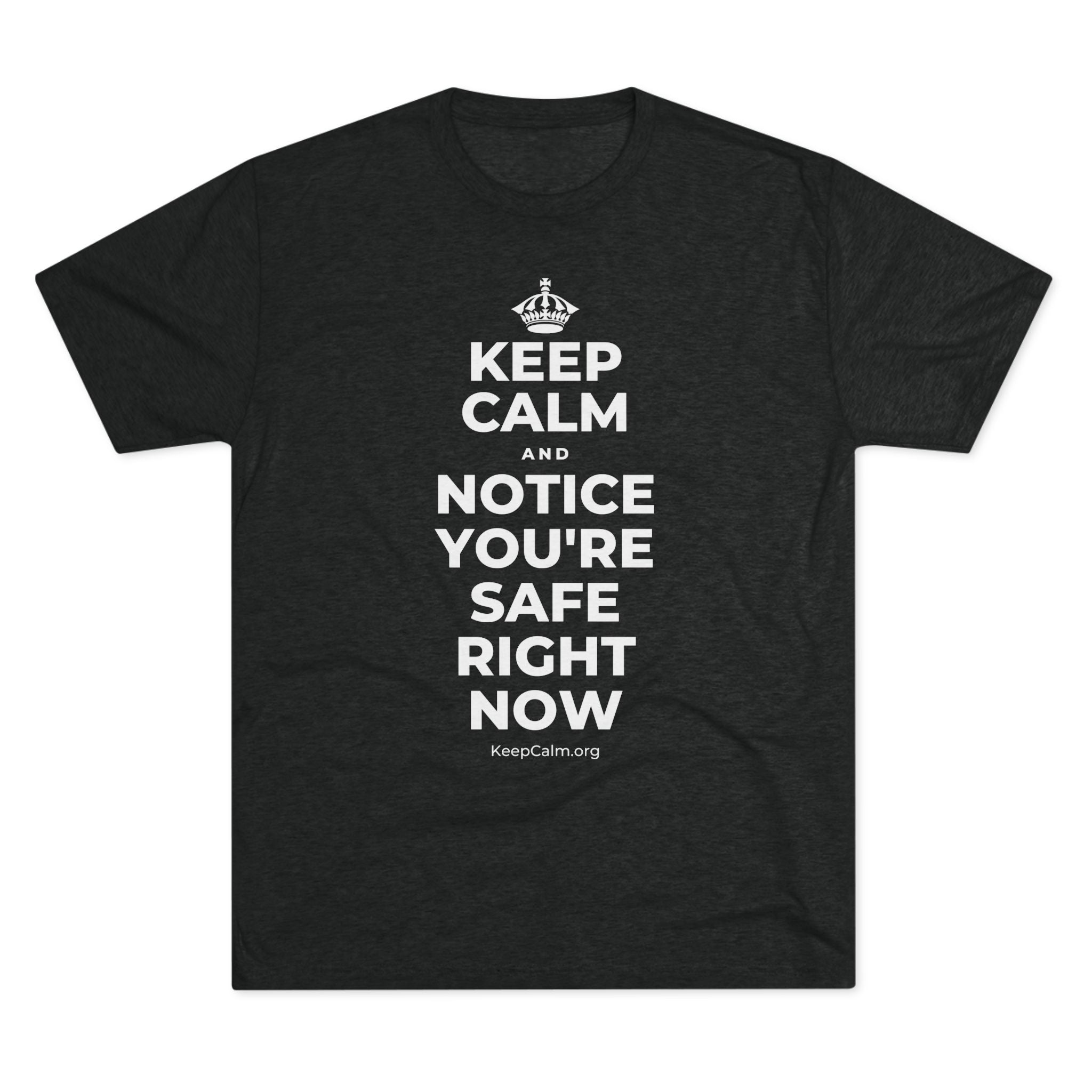 KEEP CALM AND NOTICE YOU'RE SAFE RIGHT NOW Tri-Blend Tee