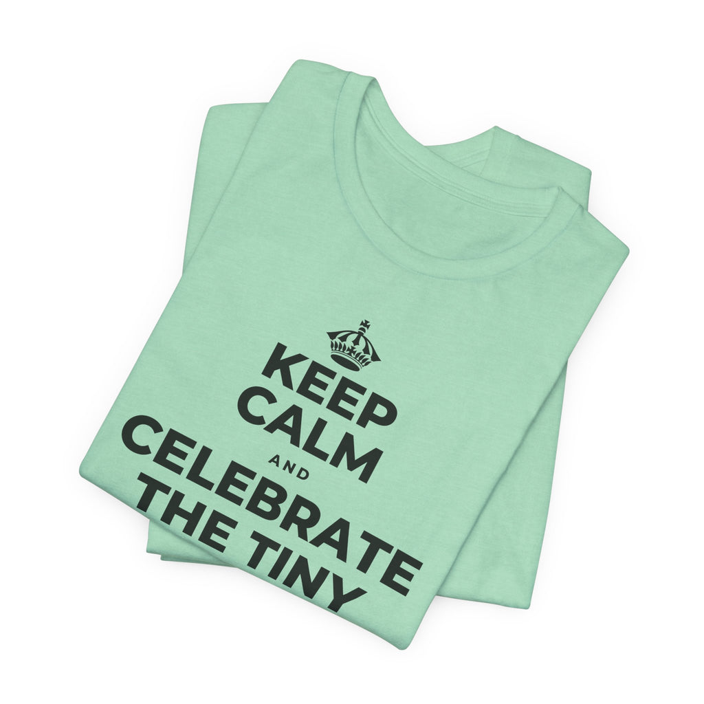 KEEP CALM AND CELEBRATE THE TINY VICTORIES EVERY SINGLE DAY T-Shirt (Baby Blue–Silver)