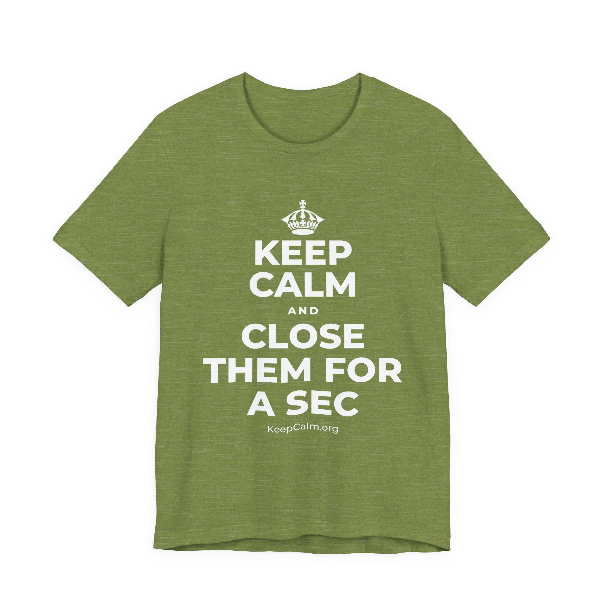 KEEP CALM AND CLOSE THEM FOR A SEC T-Shirt (Baby Blue–Silver)