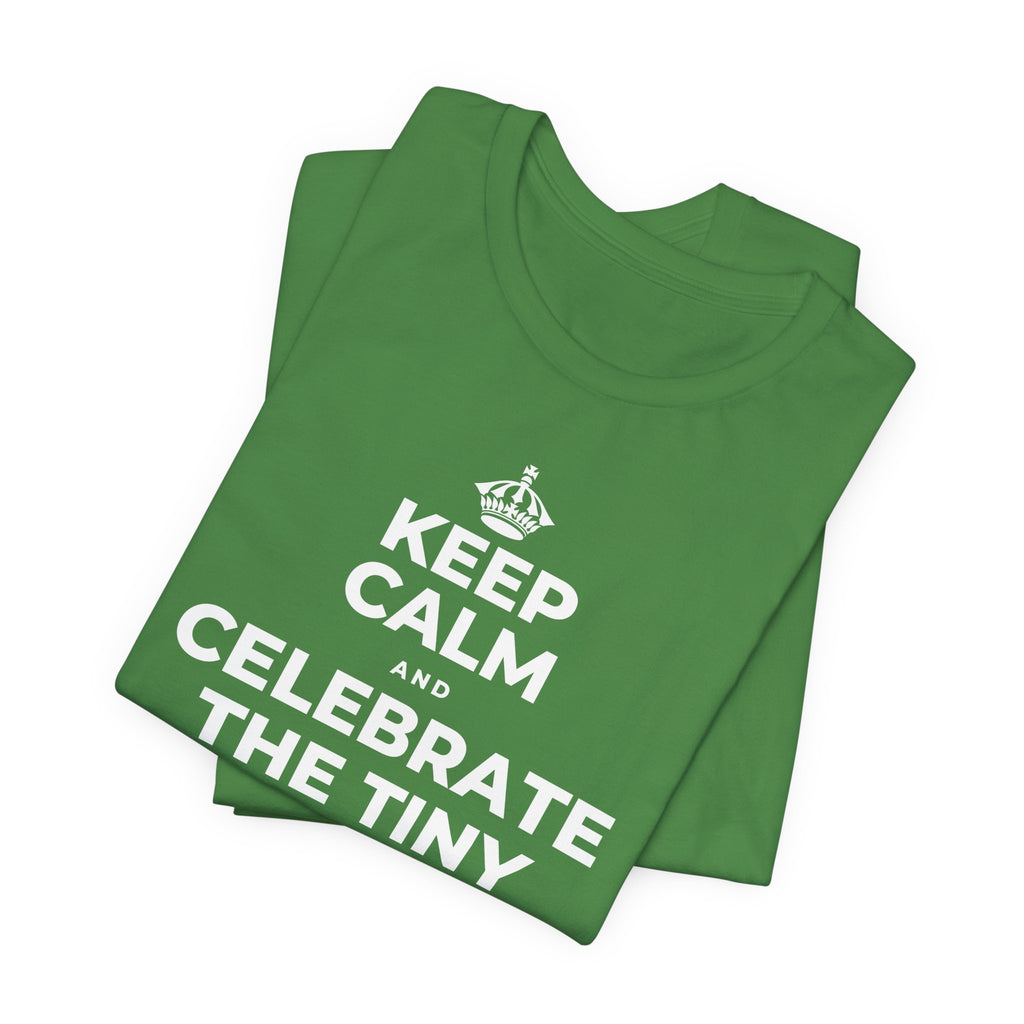 KEEP CALM AND CELEBRATE THE TINY VICTORIES EVERY SINGLE DAY T-Shirt (Baby Blue–Silver)