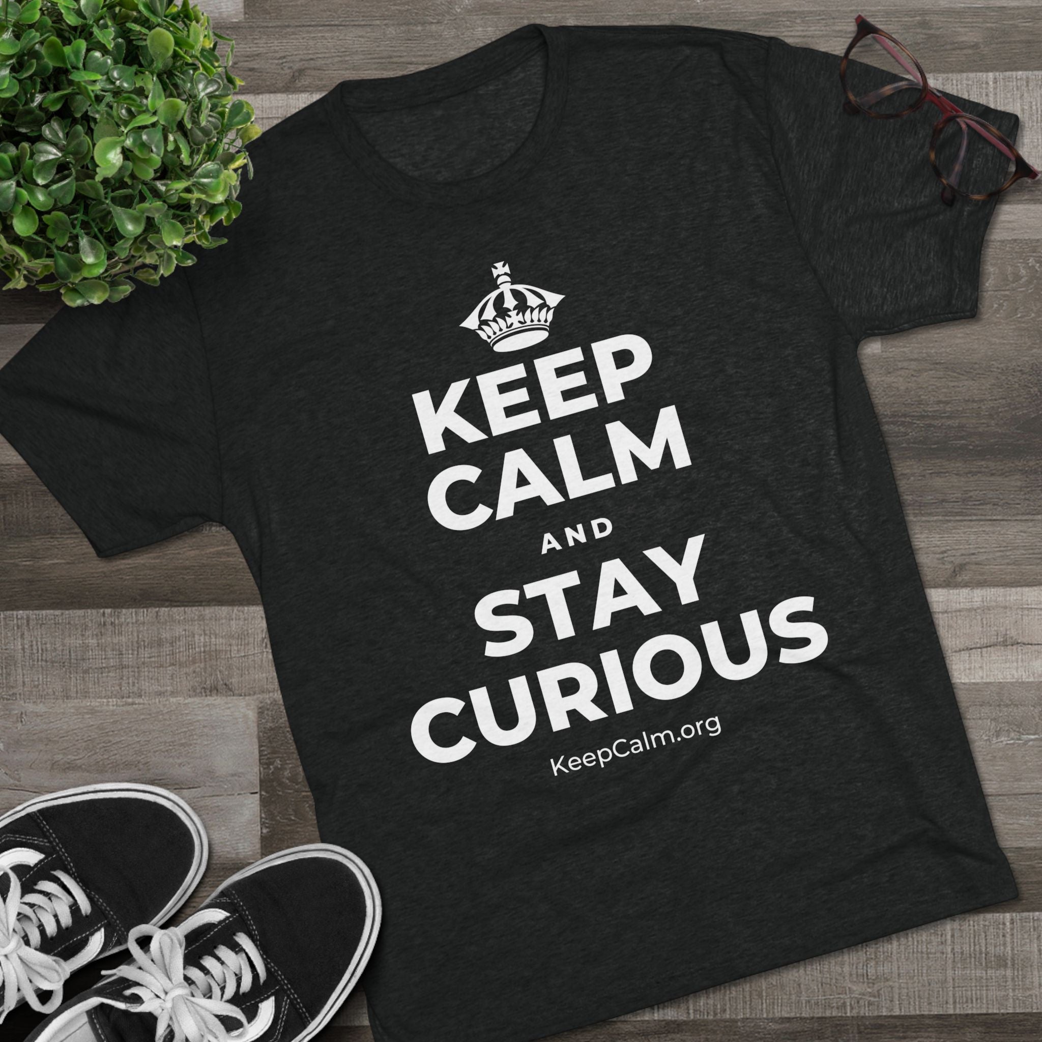 KEEP CALM AND STAY CURIOUS Tri-Blend Tee