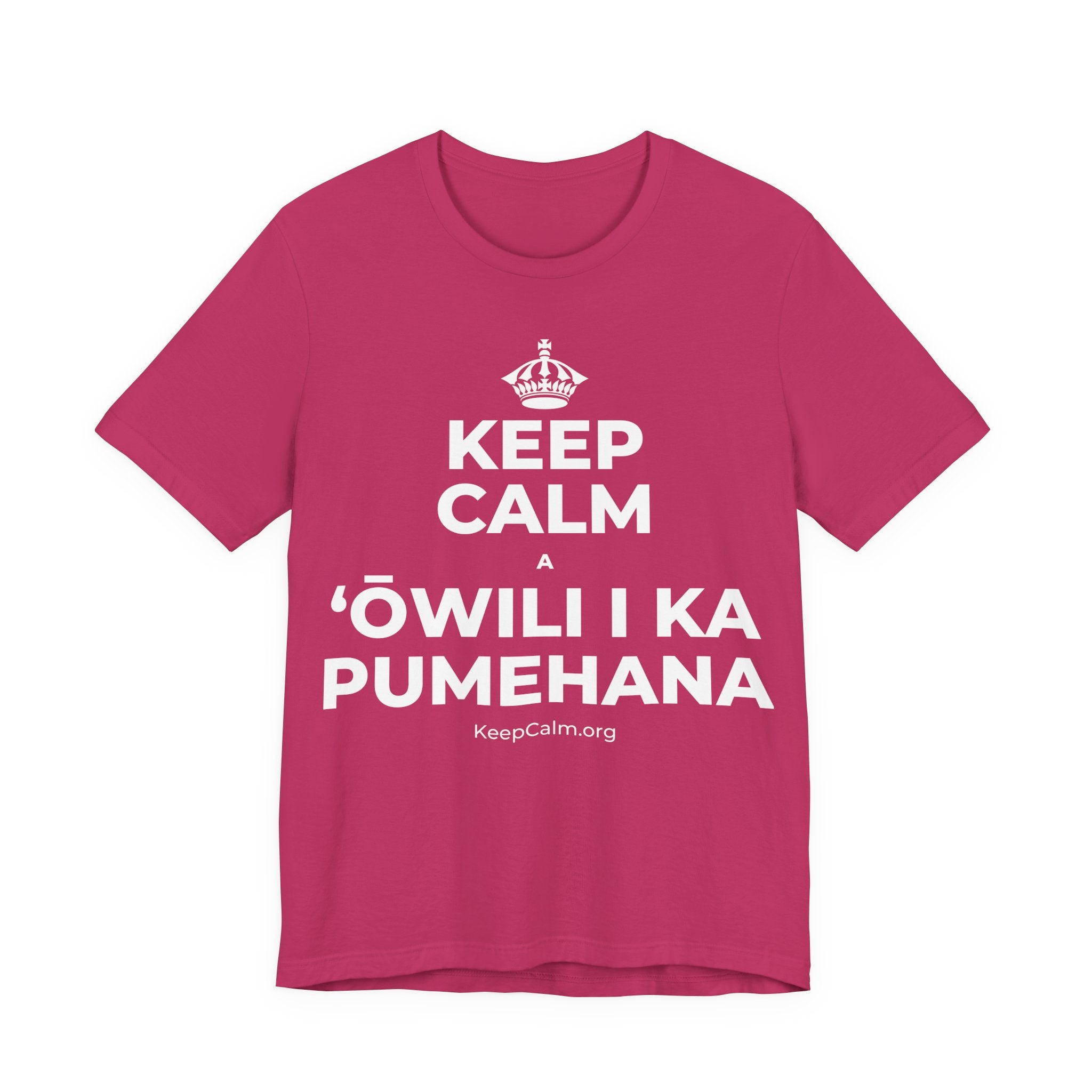KEEP CALM A ʻŌWILI I KA PUMEHANA T-Shirt (Baby Blue–Silver)