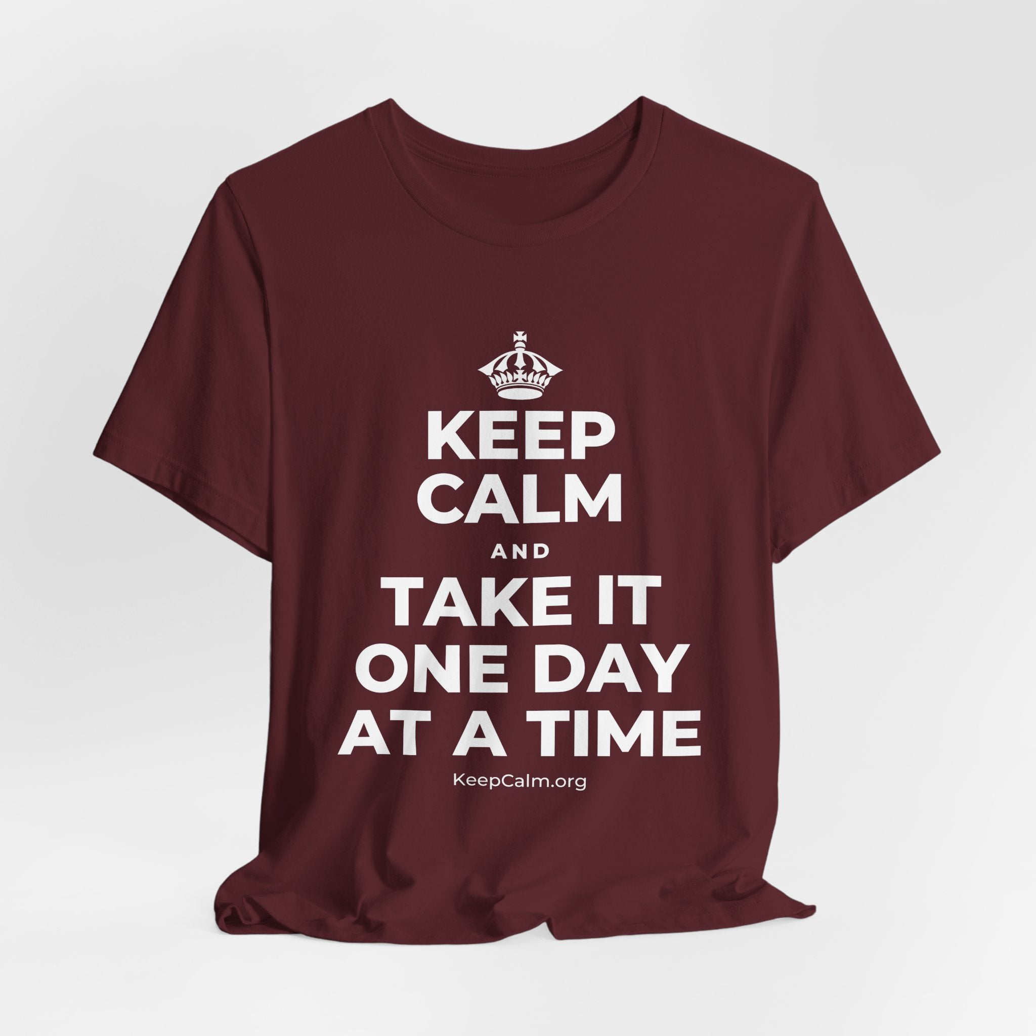 KEEP CALM AND TAKE IT ONE DAY AT A TIME T-Shirt (Baby Blue–Silver)