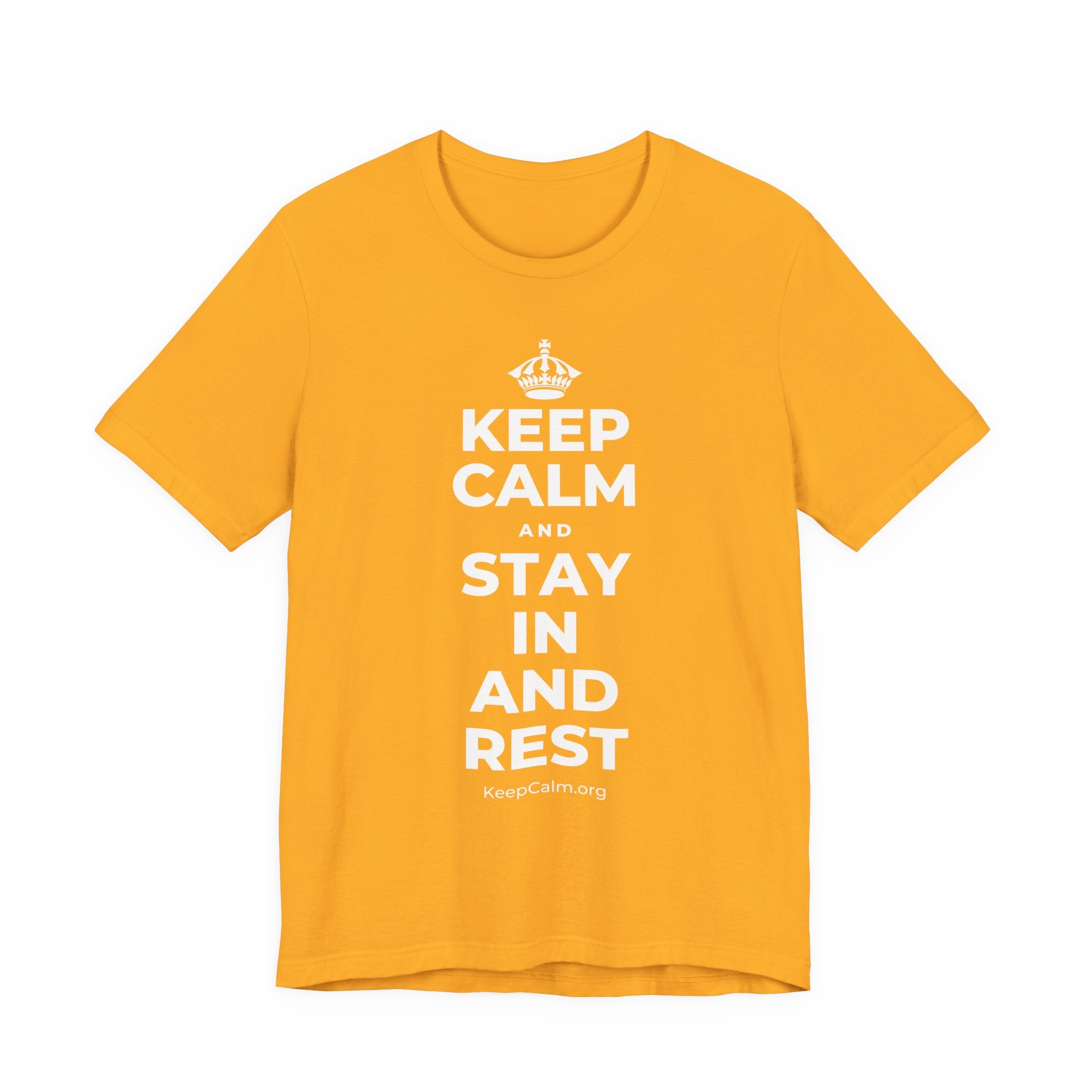 KEEP CALM AND STAY IN AND REST T-Shirt (Baby Blue–Silver)