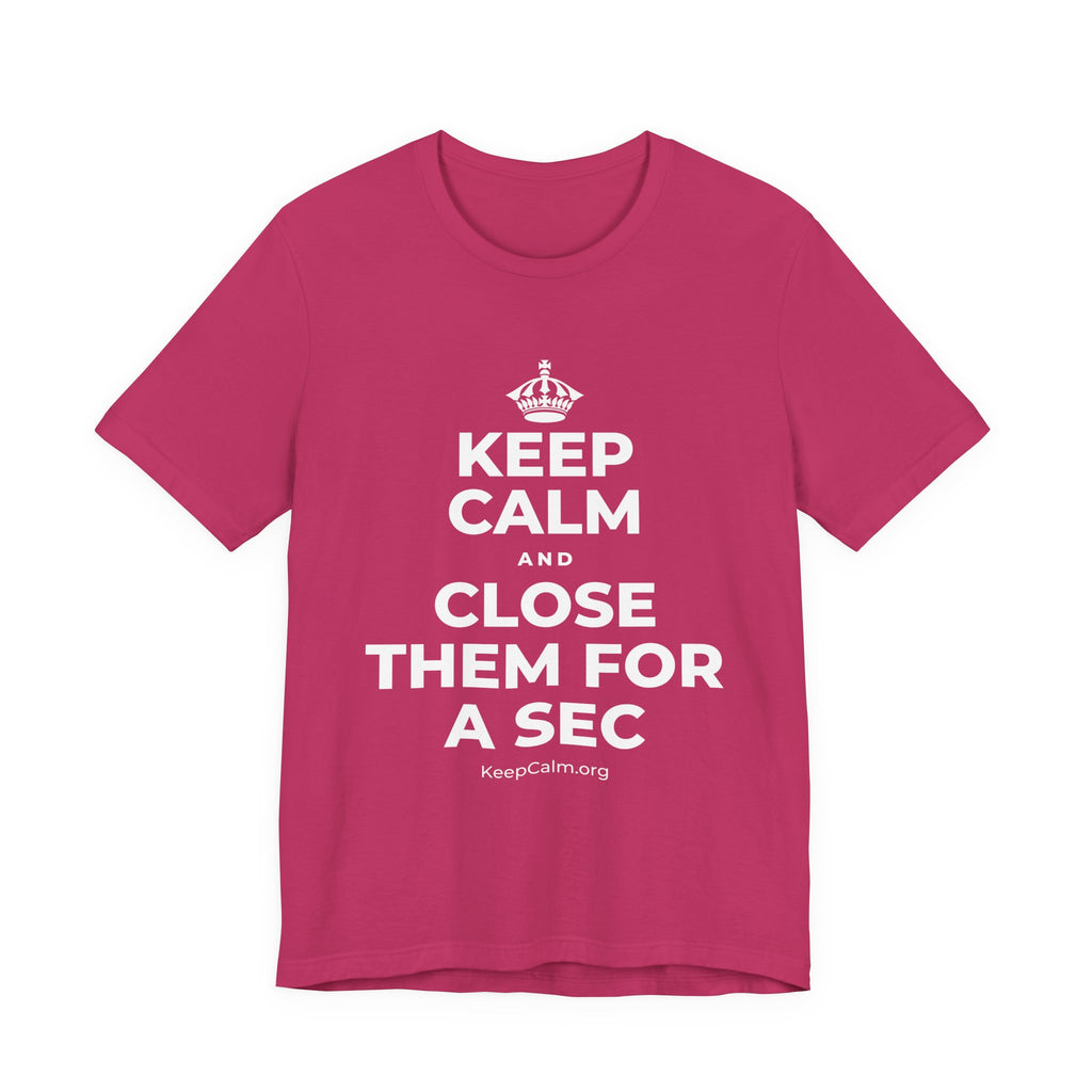 KEEP CALM AND CLOSE THEM FOR A SEC T-Shirt (Baby Blue–Silver)