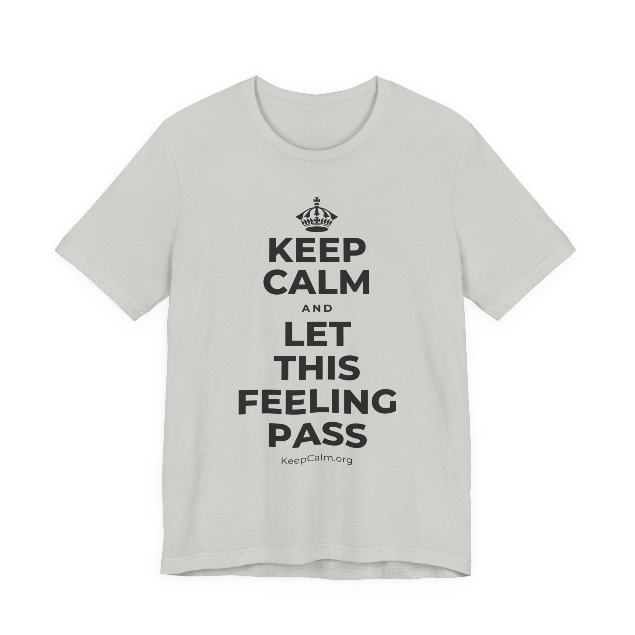 KEEP CALM AND LET THIS FEELING PASS T-Shirt (Baby Blue–Silver)