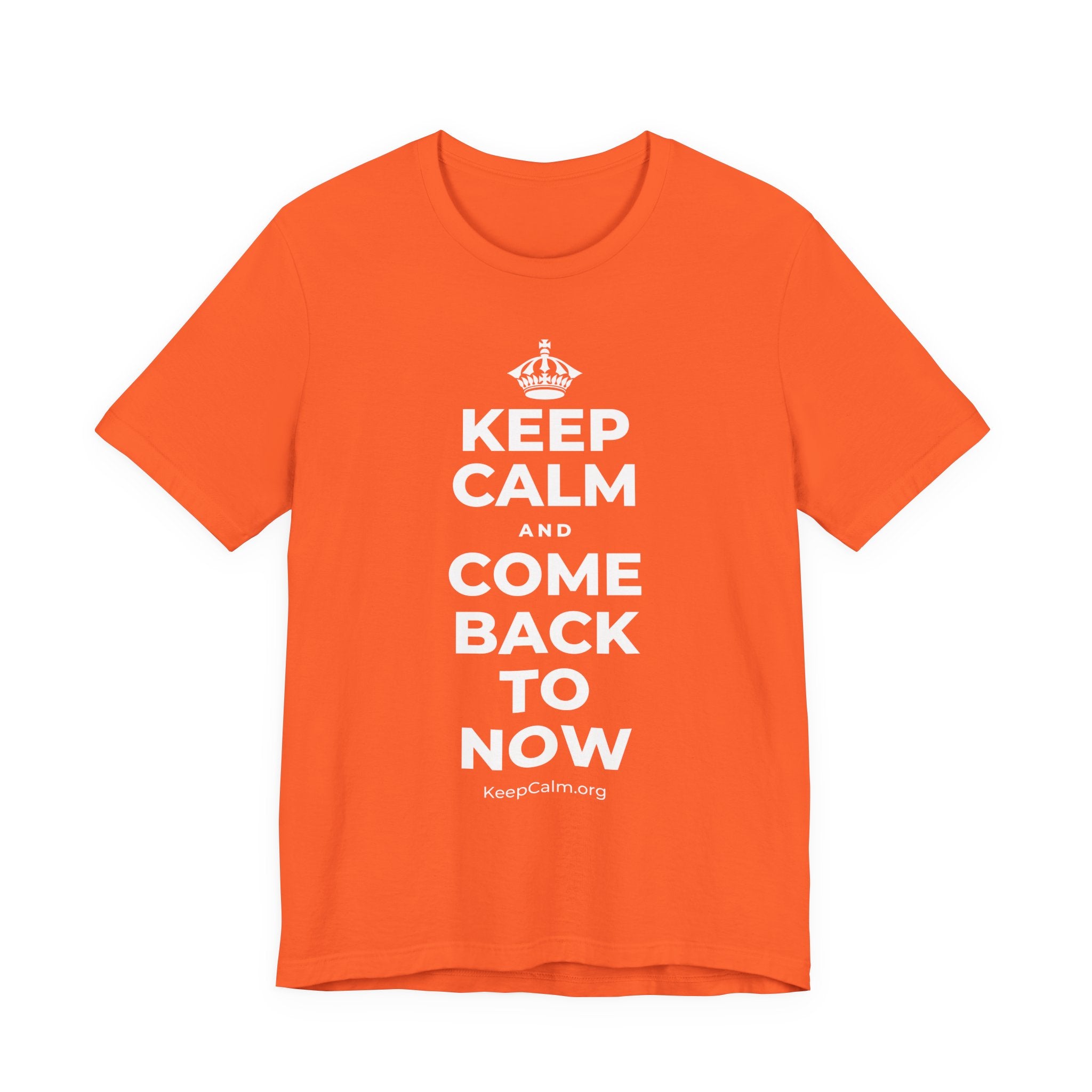 KEEP CALM AND COME BACK TO NOW T-Shirt (Baby Blue–Silver)