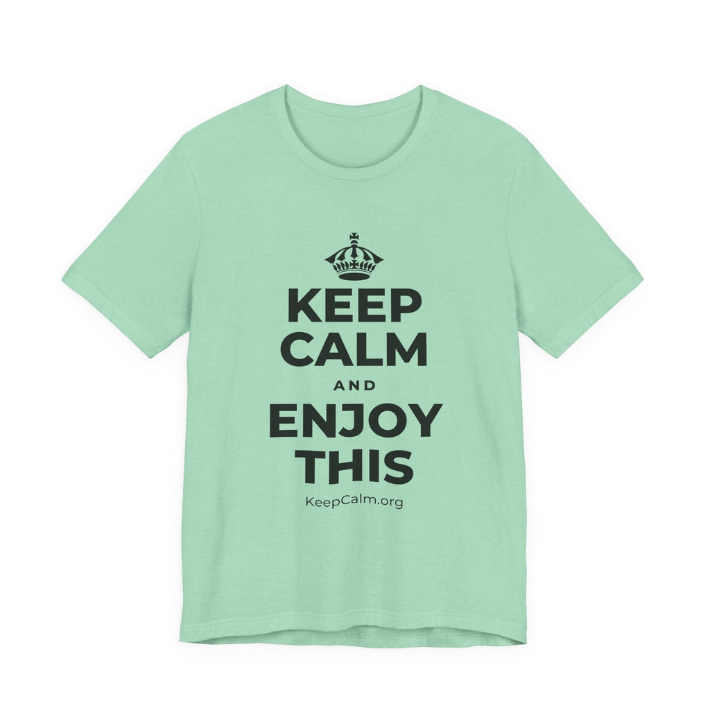 KEEP CALM AND ENJOY THIS T-Shirt (Baby Blue–Silver)