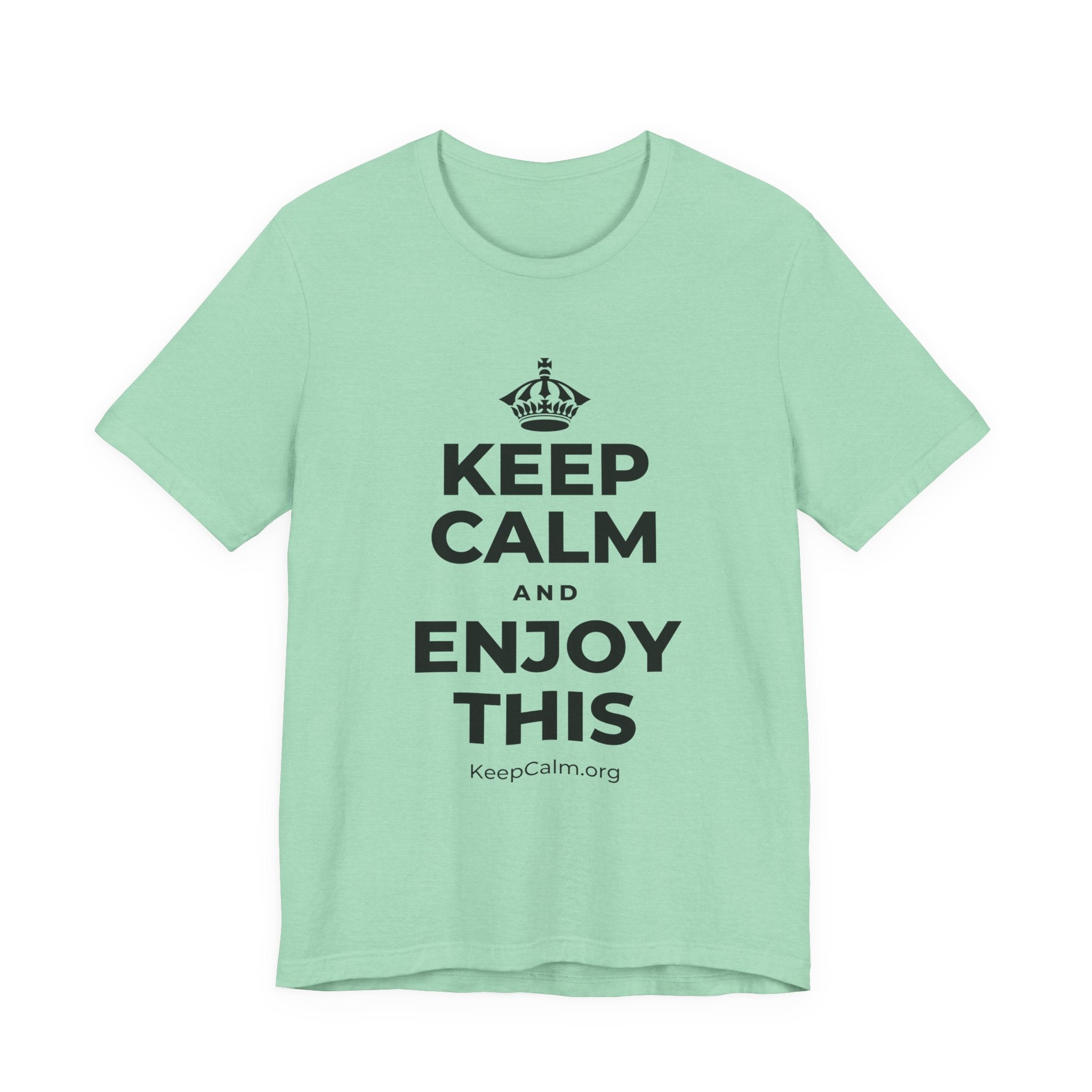 KEEP CALM AND ENJOY THIS T-Shirt (Baby Blue–Silver)