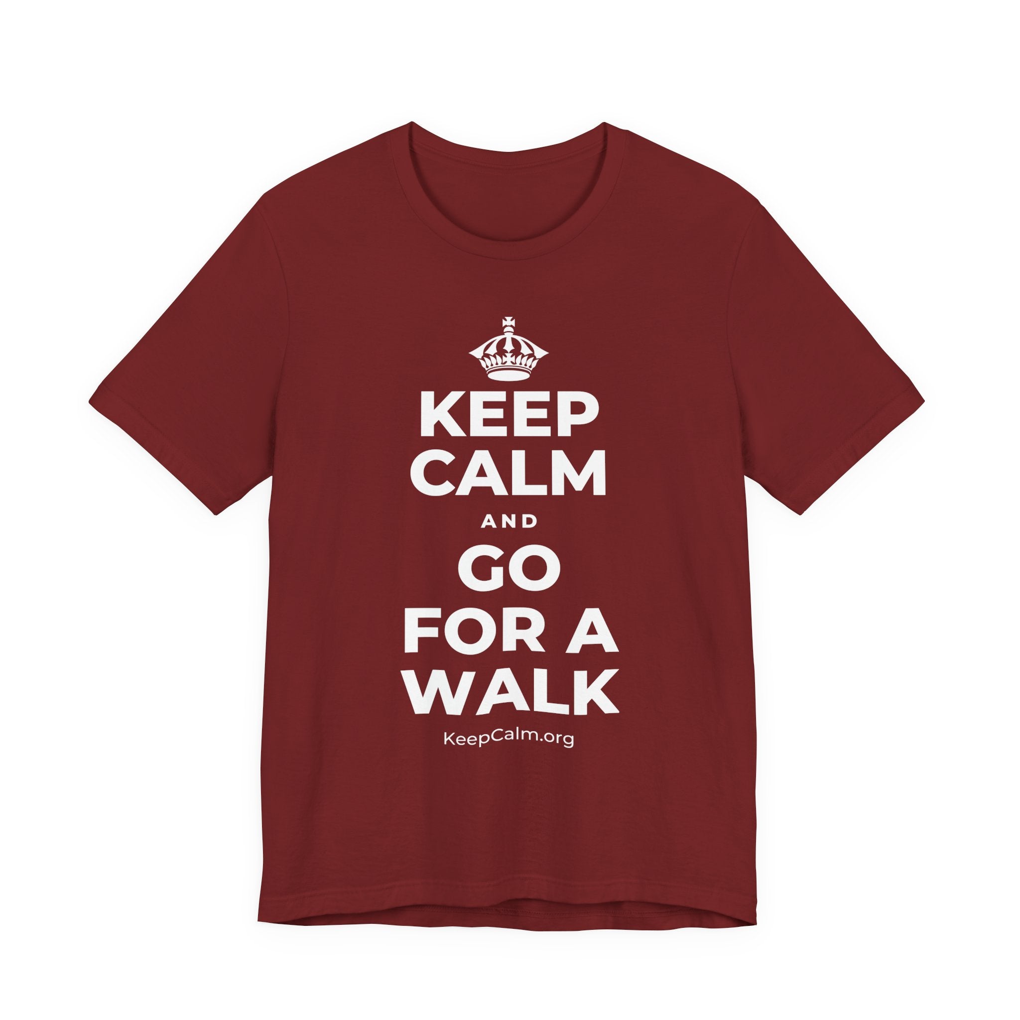 KEEP CALM AND GO FOR A WALK T-Shirt (Baby Blue–Silver)