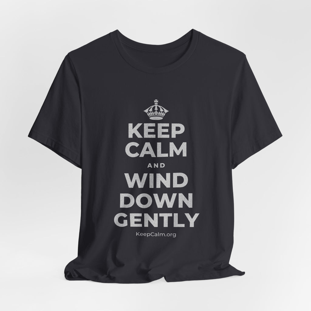 KEEP CALM AND WIND DOWN GENTLY T-Shirt (Baby Blue–Silver)